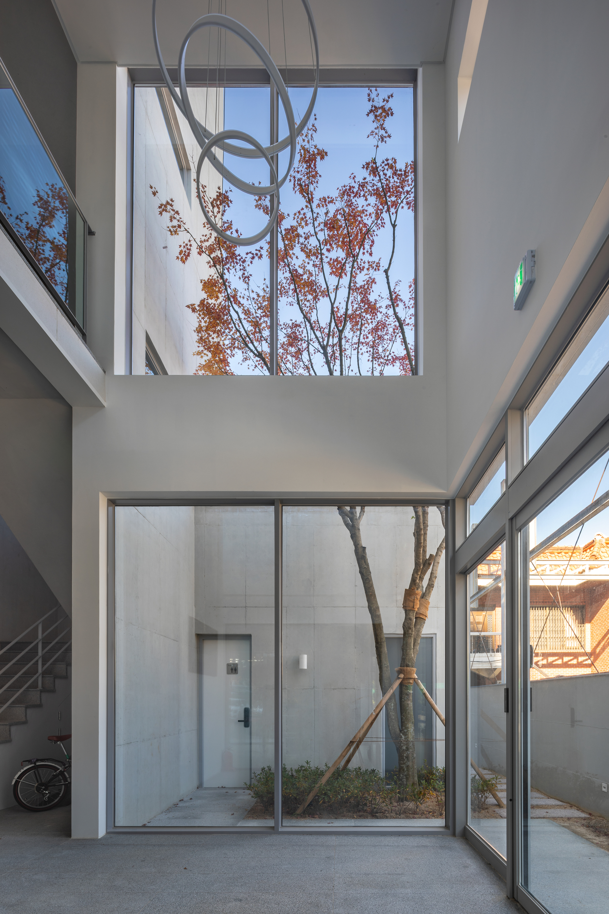 Double-height interior courtyard with floor-to-ceiling glazing framing a planted tree with autumn foliage