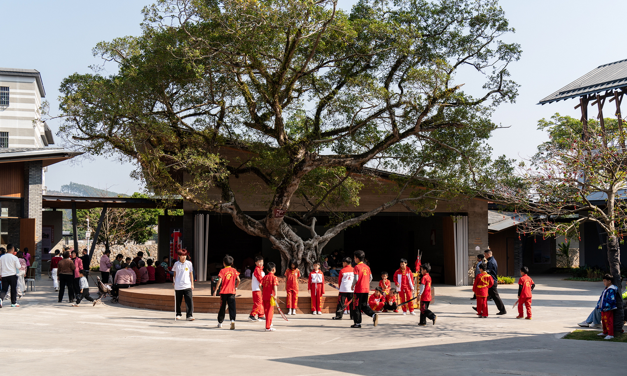 Low pavilion sheltering beneath a large tree with performers in red gathered on the plaza
