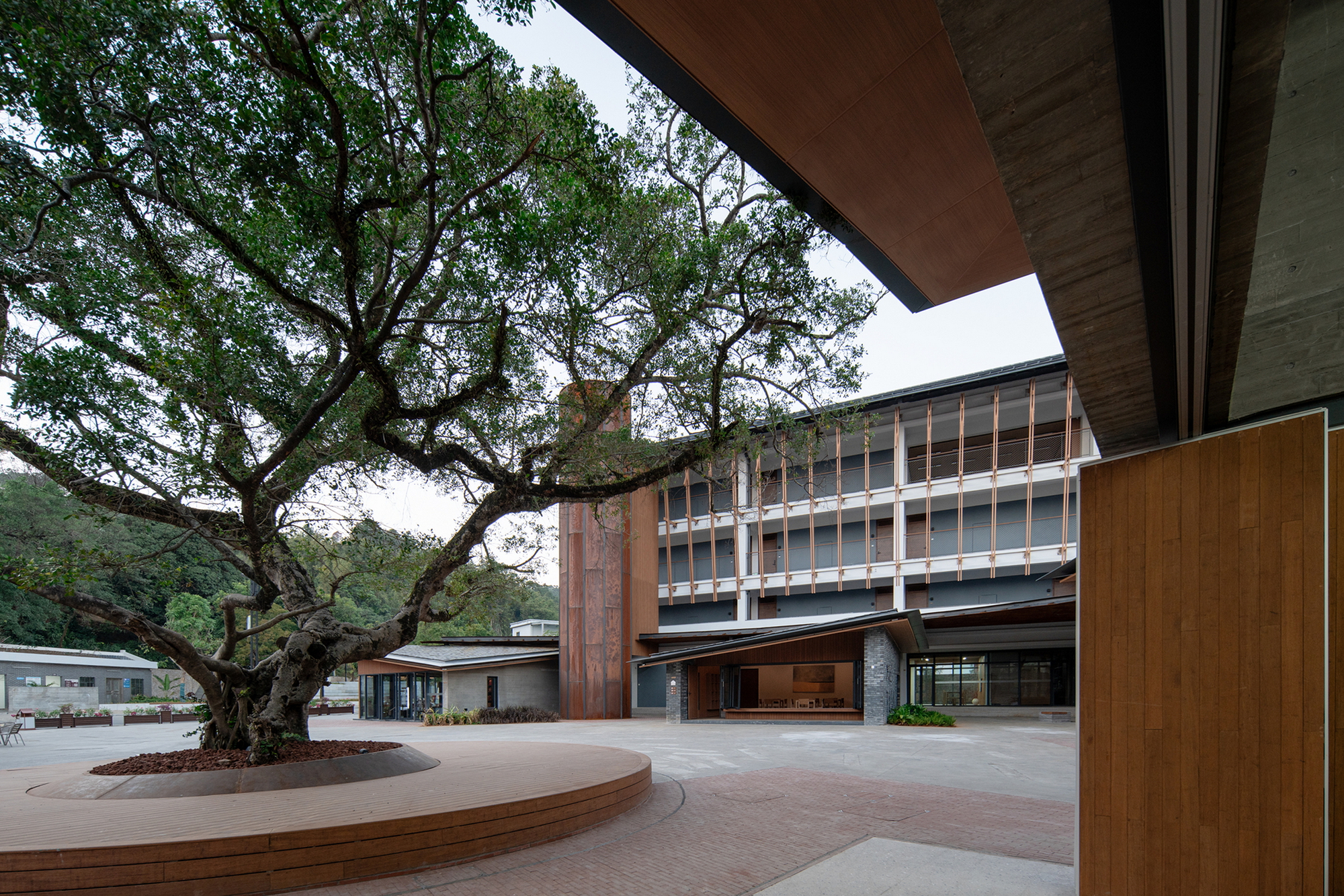 View across courtyard showing timber-screened facades and horizontal window bands framing the preserved tree
