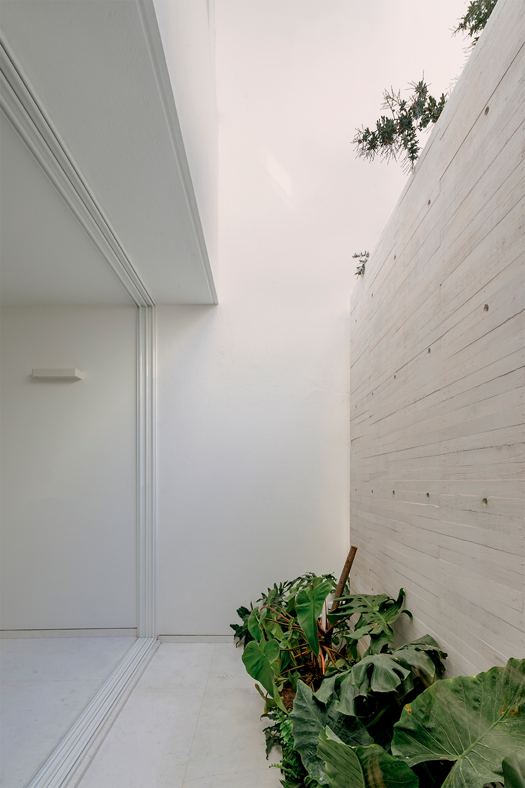 Narrow corridor between a board-formed concrete wall and white plaster with tropical plants below