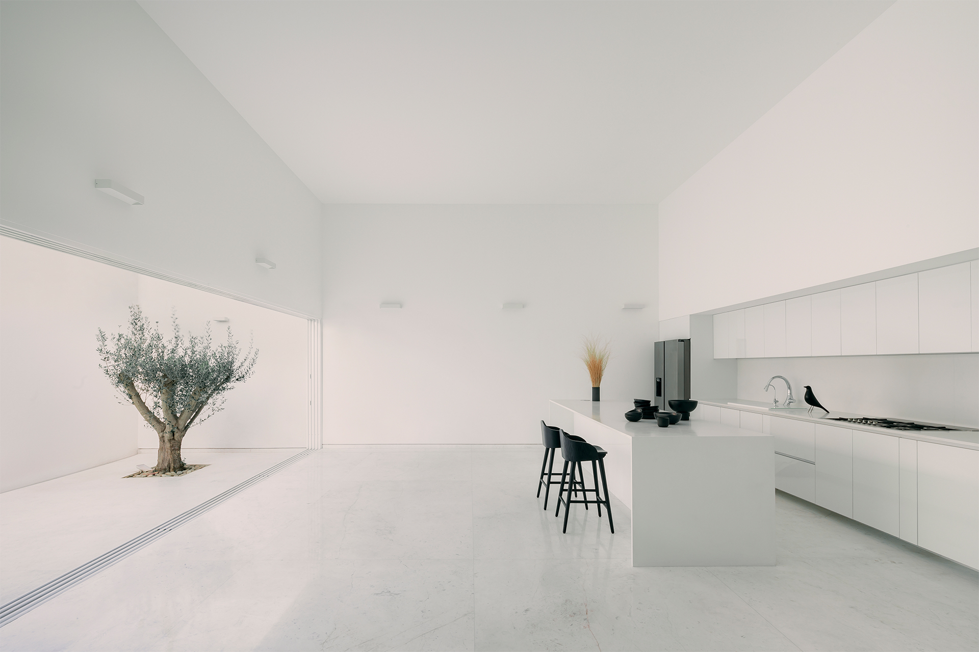 Kitchen with island and white cabinetry opening to a courtyard with an olive tree