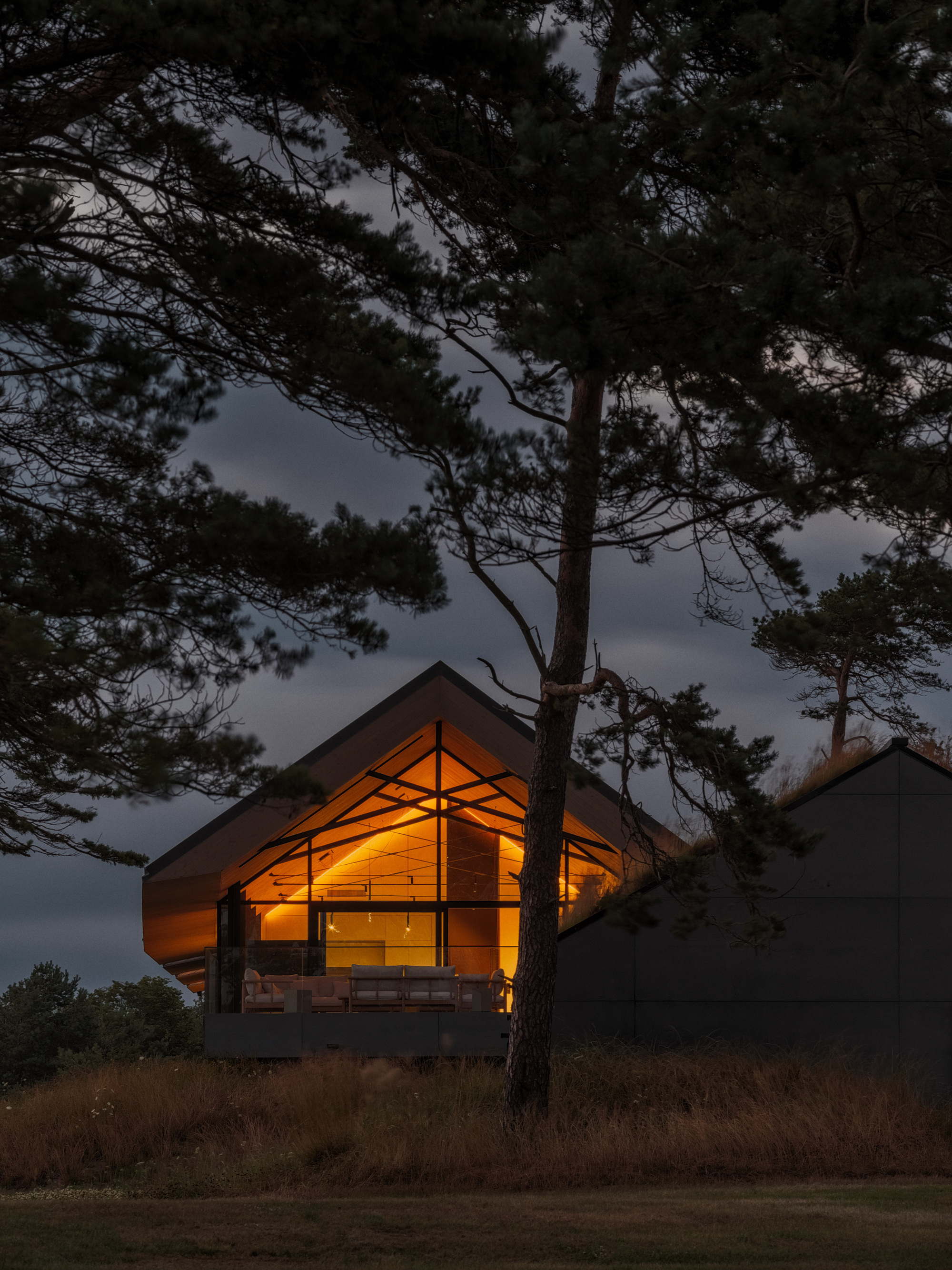Illuminated timber-clad gable framed by pine trees in a field at nightfall