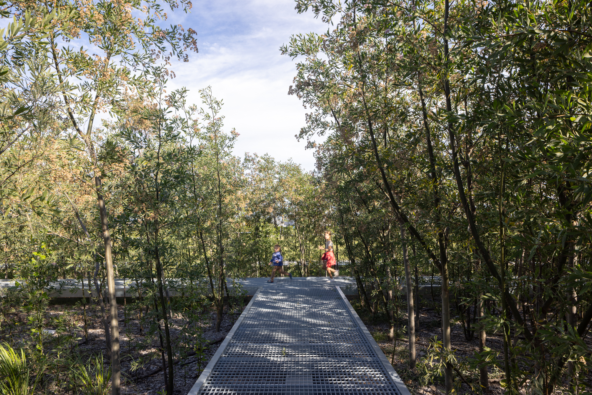 Perforated metal walkway threading through dense woodland with visitors in dappled sunlight