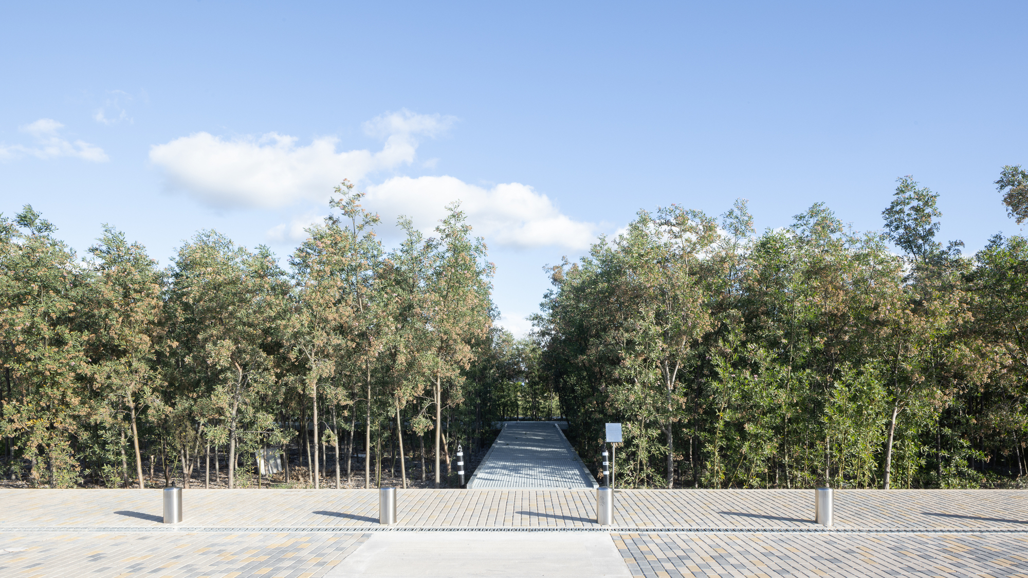 Metal grate walkway leading into a dense grove of trees under a blue sky with clouds