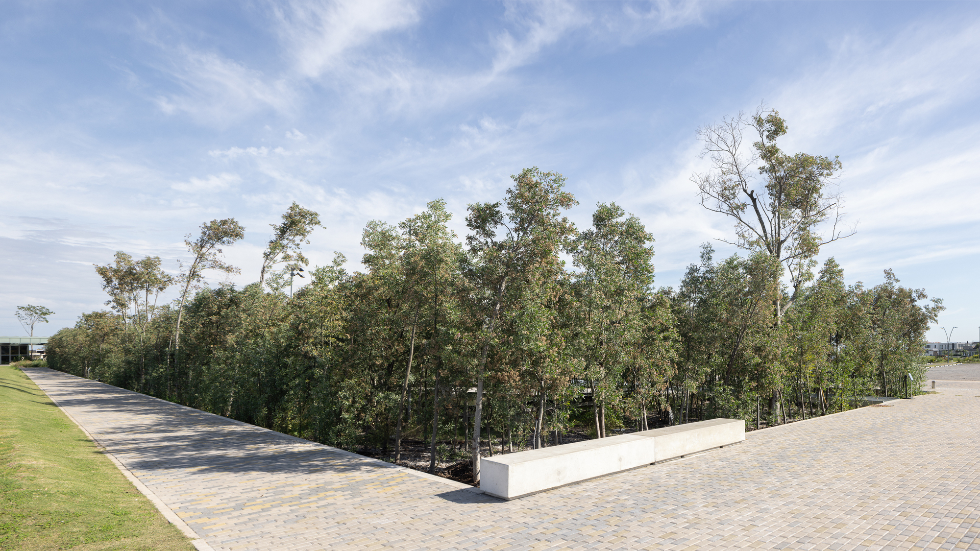 Edge of a paved plaza meeting a sunken wooded area with scattered trees and grass