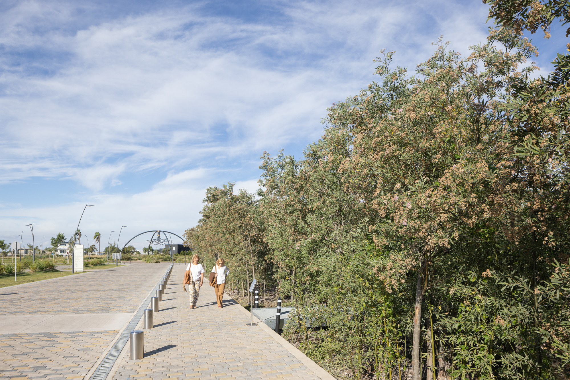 Pedestrian promenade with metal railings and low planters alongside dense tree canopy