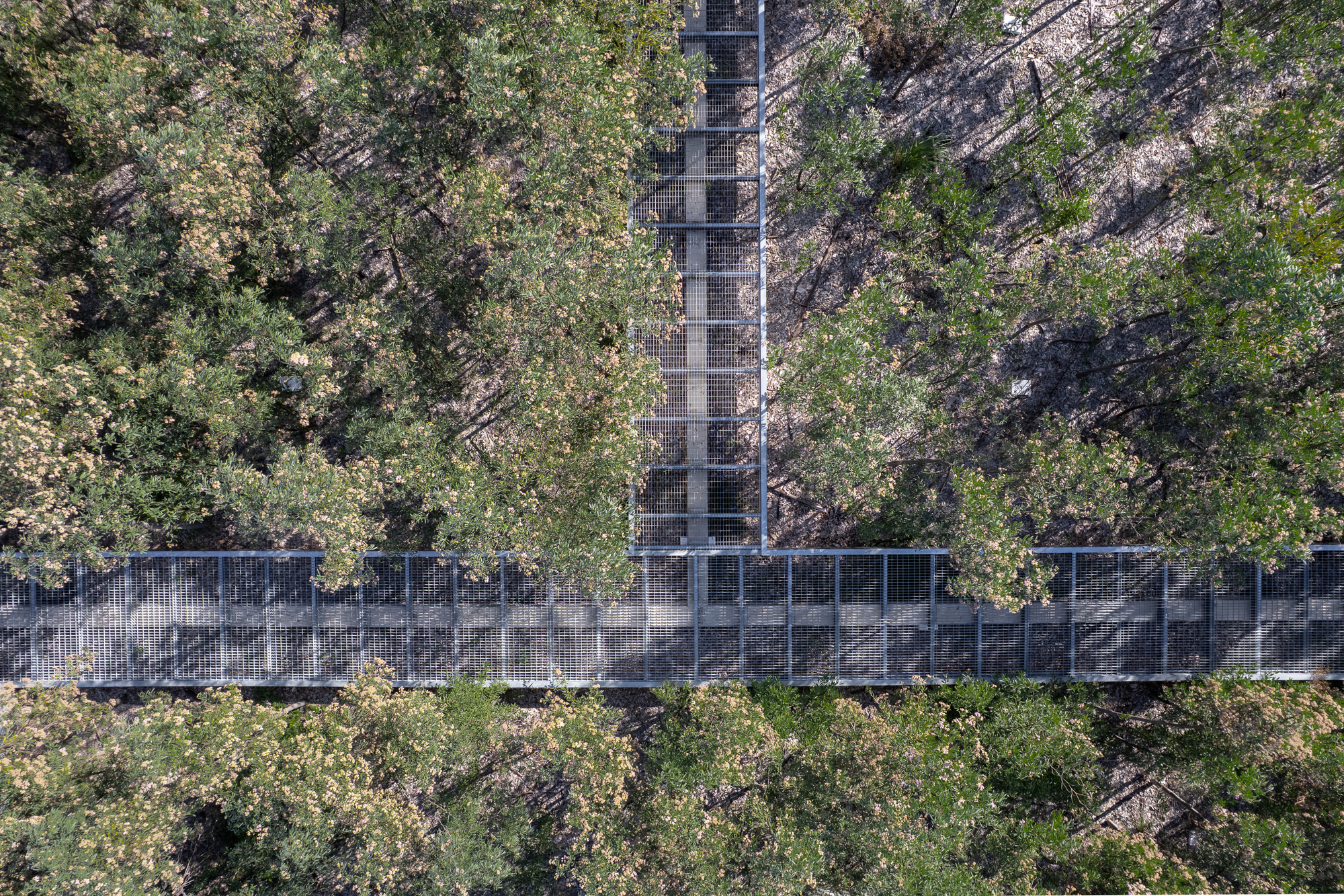 Aerial view of a perforated metal walkway crossing through a forested ravine