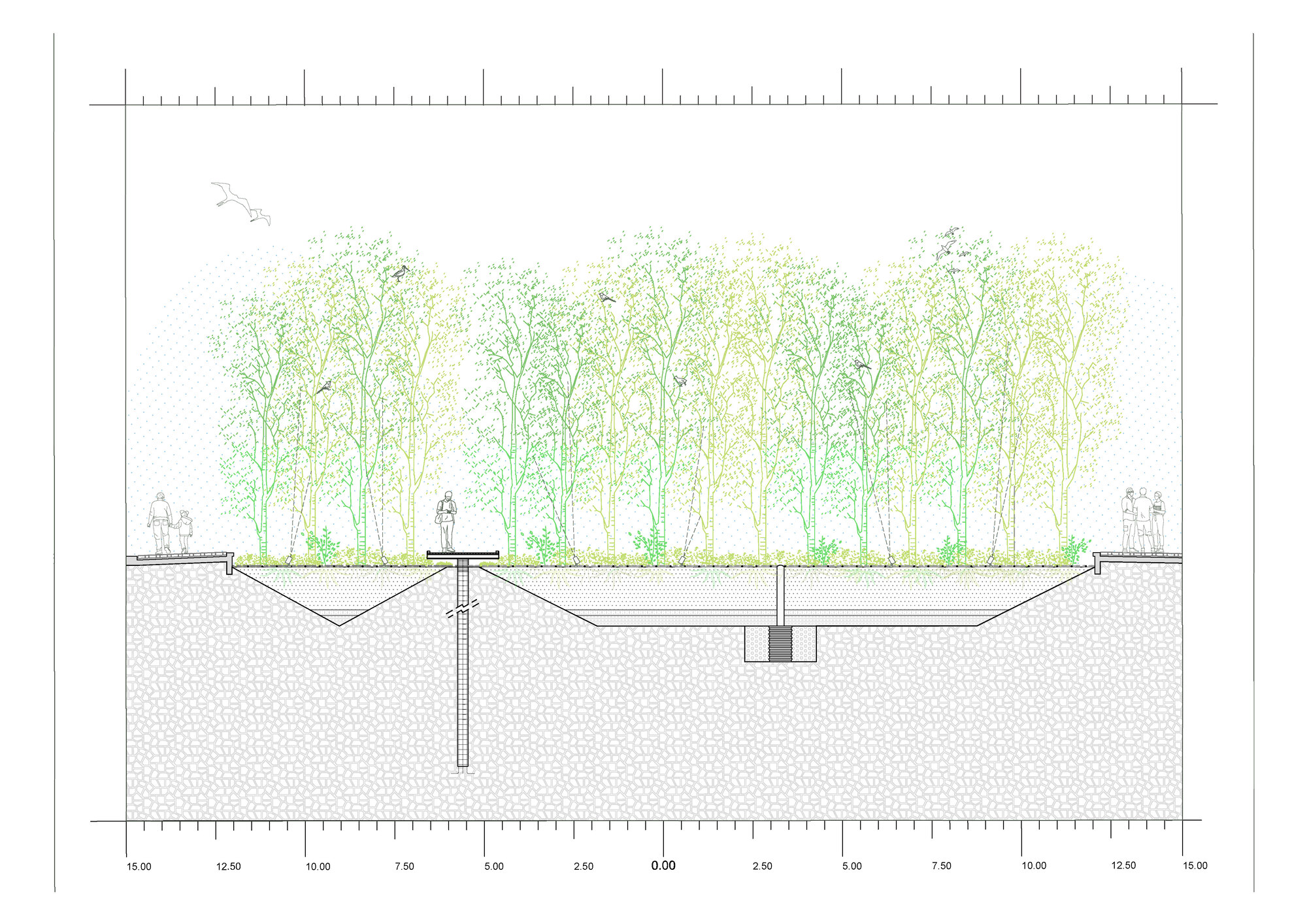 Section drawing showing planted deck over excavated chamber with central drainage and root systems
