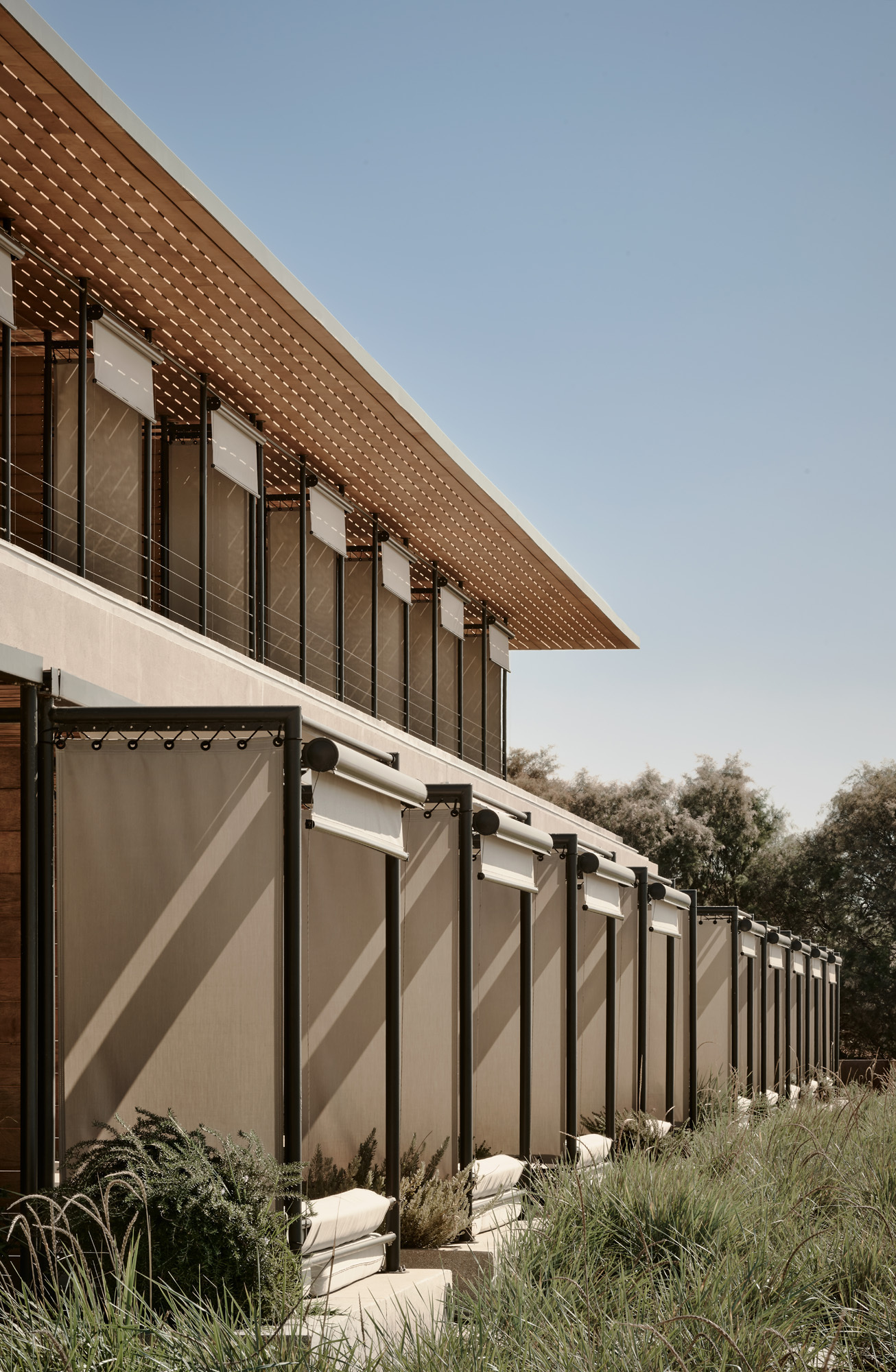 Perforated timber soffit overhanging folding canvas screens and planted terrace beds
