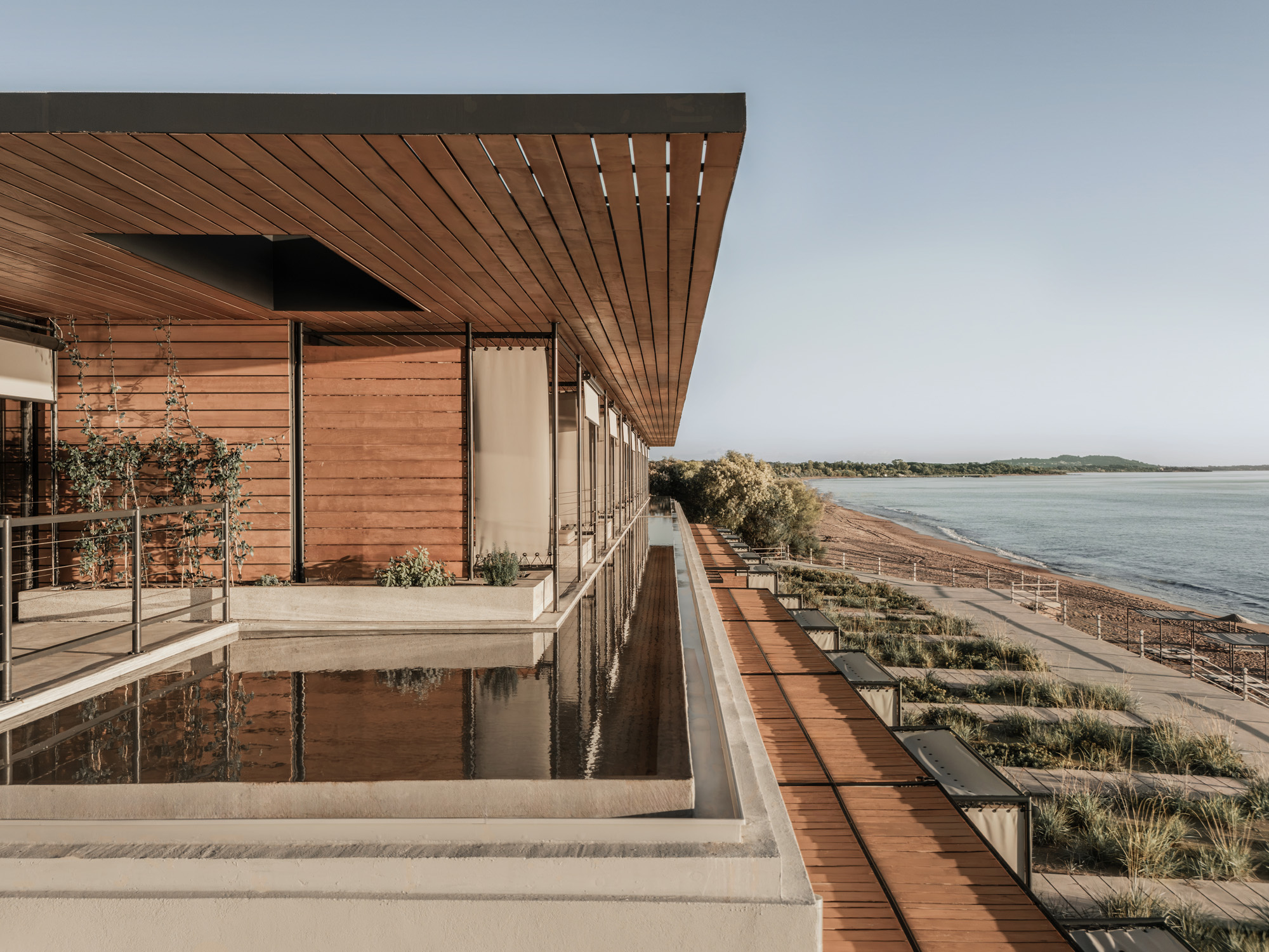 Rooftop terrace with reflecting pool and timber deck overlooking coastal wetlands