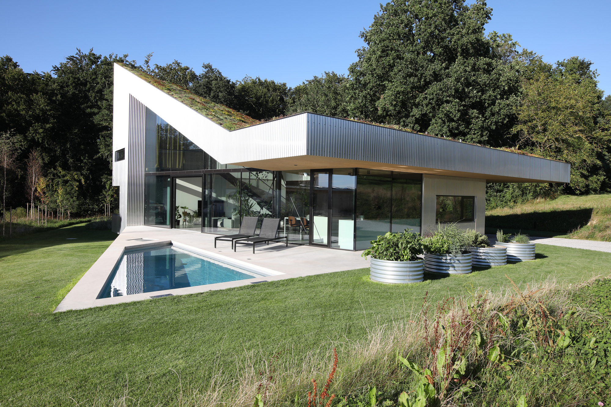 Garden view of the cantilevered green roof extending over the glazed living area and pool terrace