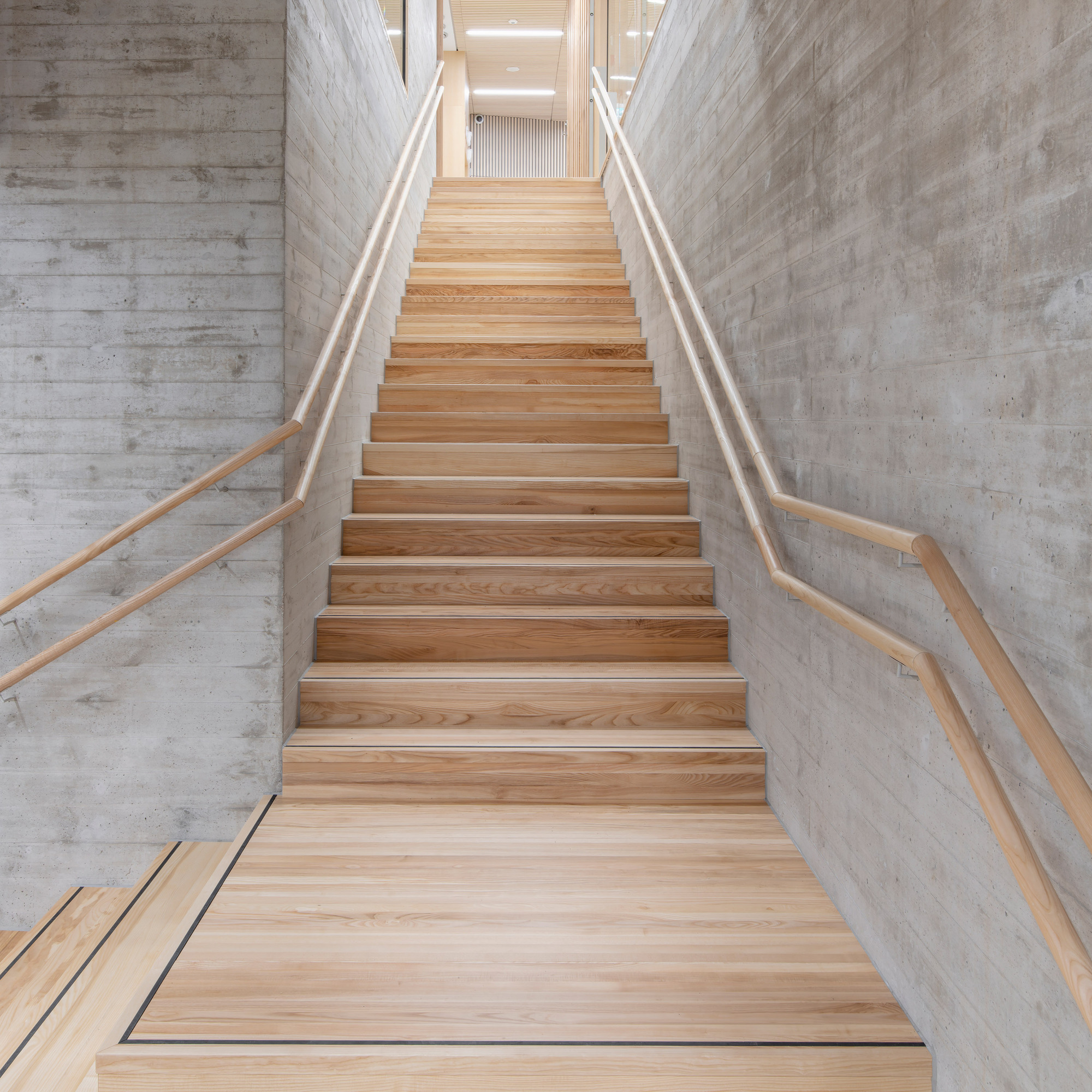 Timber staircase with wood handrails ascending between board-formed concrete walls under natural light
