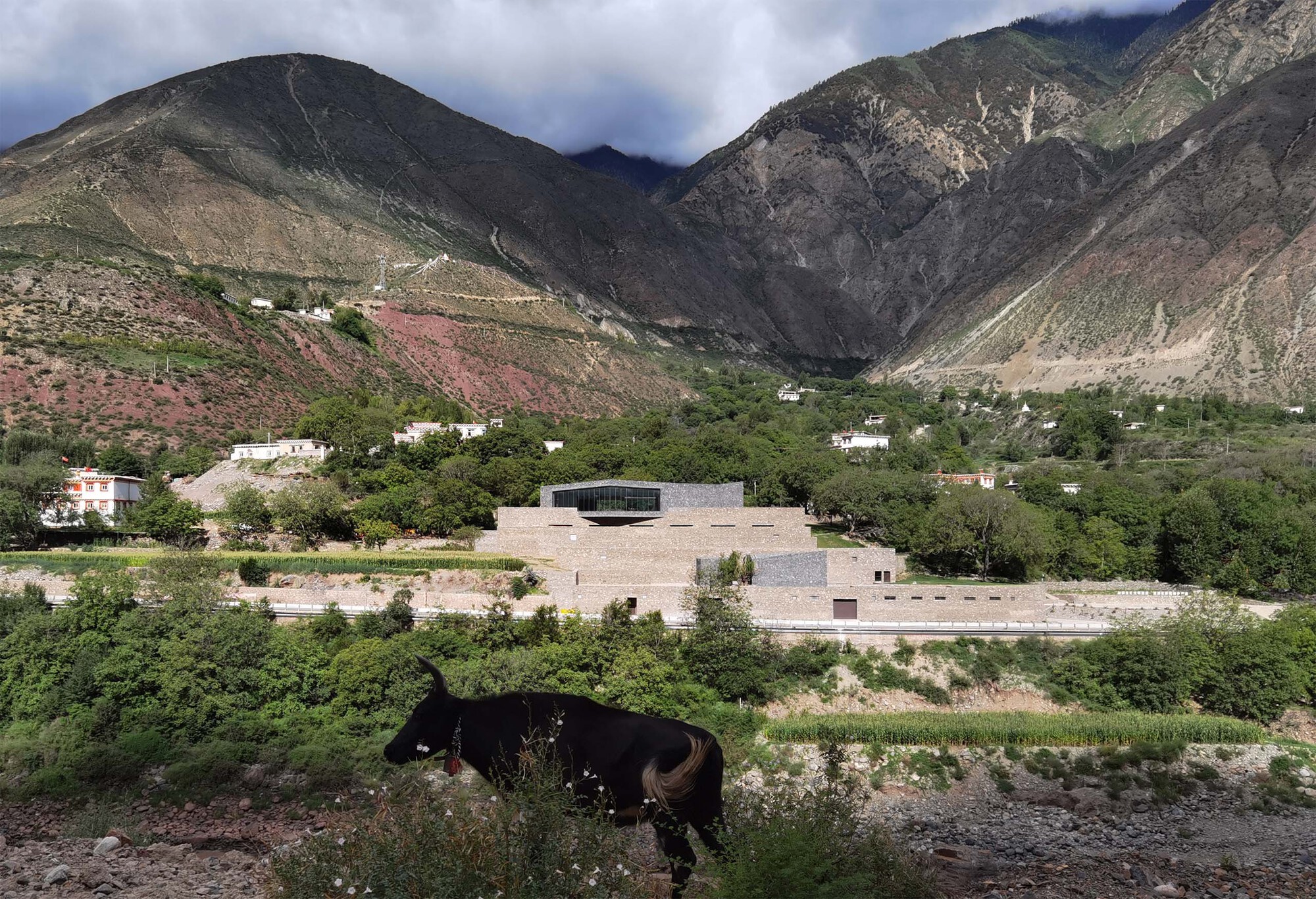Terraced stone complex nestled in a valley with a grazing animal in the foreground