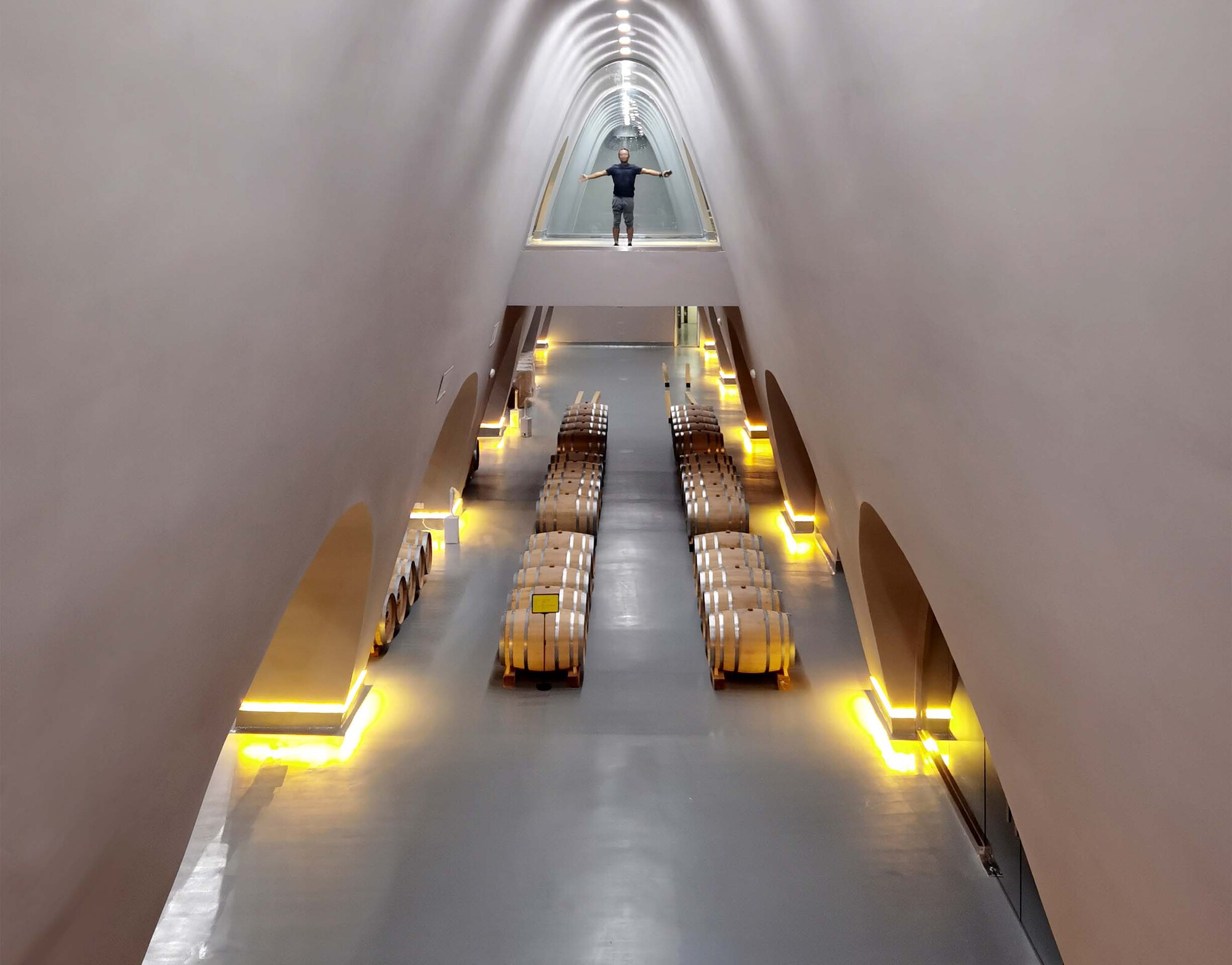 Vaulted white interior corridor with timber wine barrels and yellow cove lighting along the walls