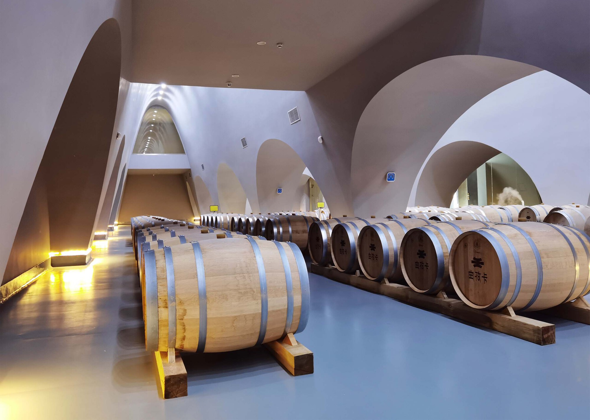 White arched cellar interior with oak wine barrels on racks beneath a vaulted ceiling