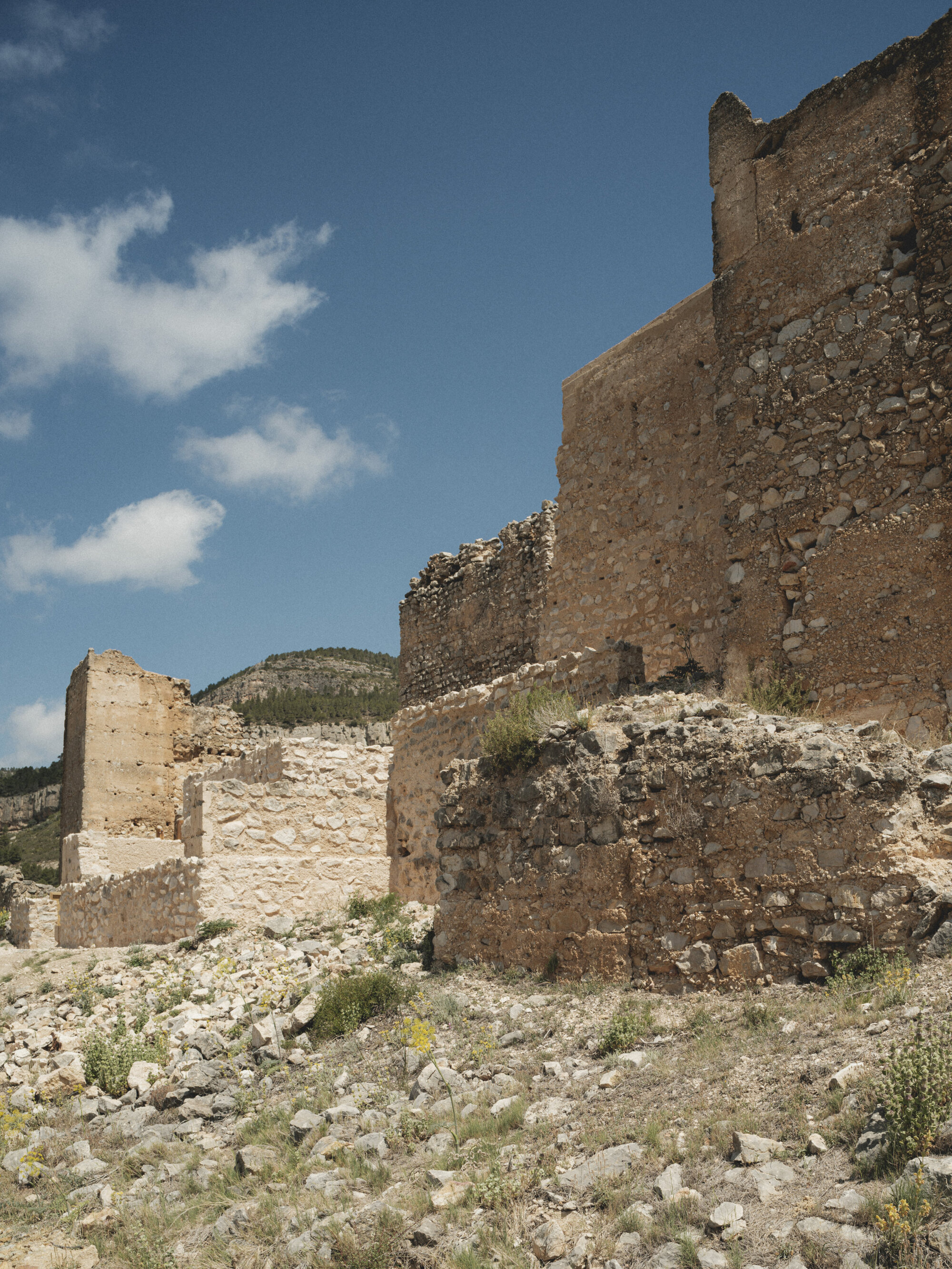 Fragmented stone walls and towers cascading down hillside with wild grasses in foreground
