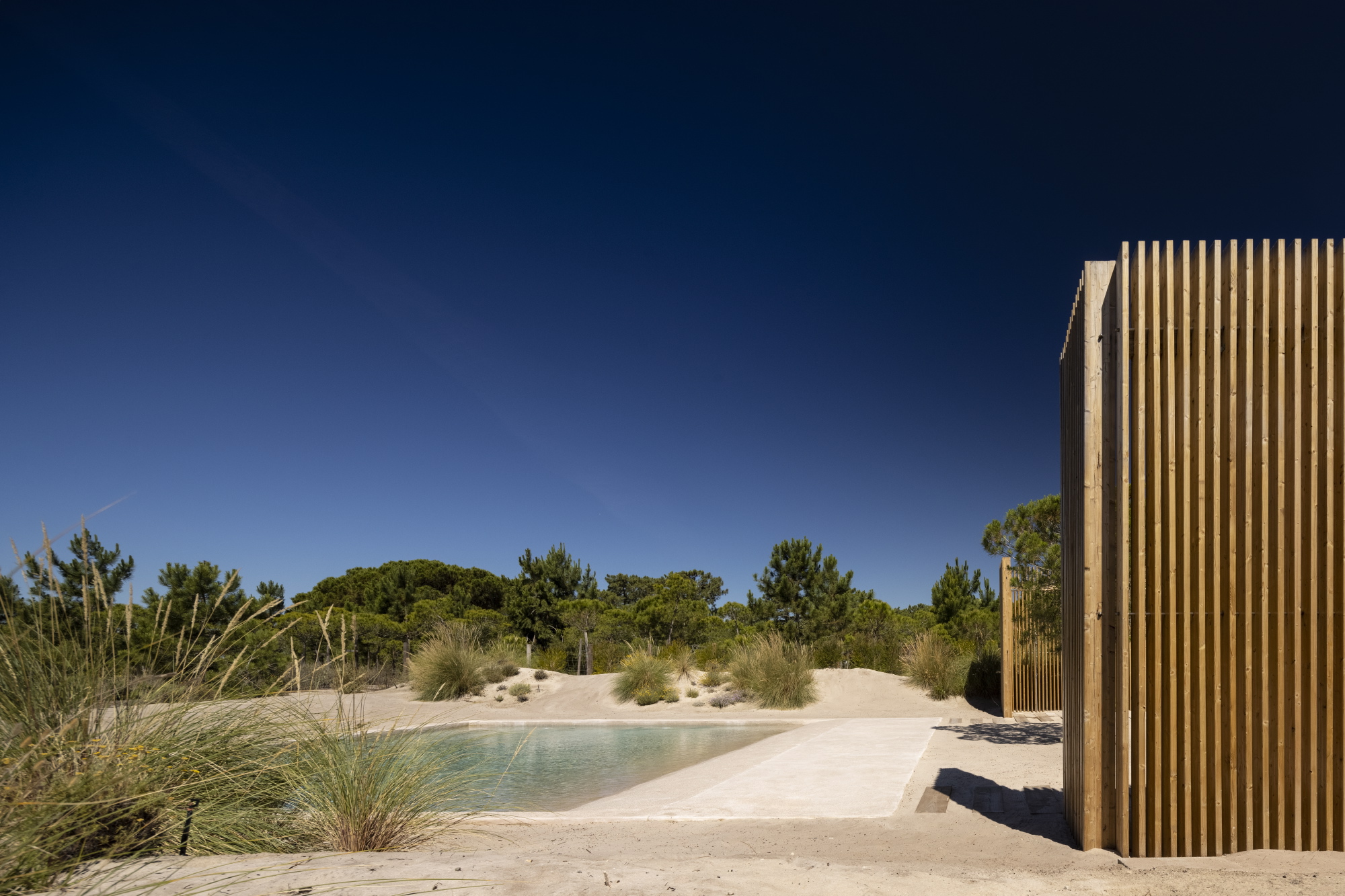 Natural pool edge with sandy beach and dune grasses beneath vertical timber screen under clear sky