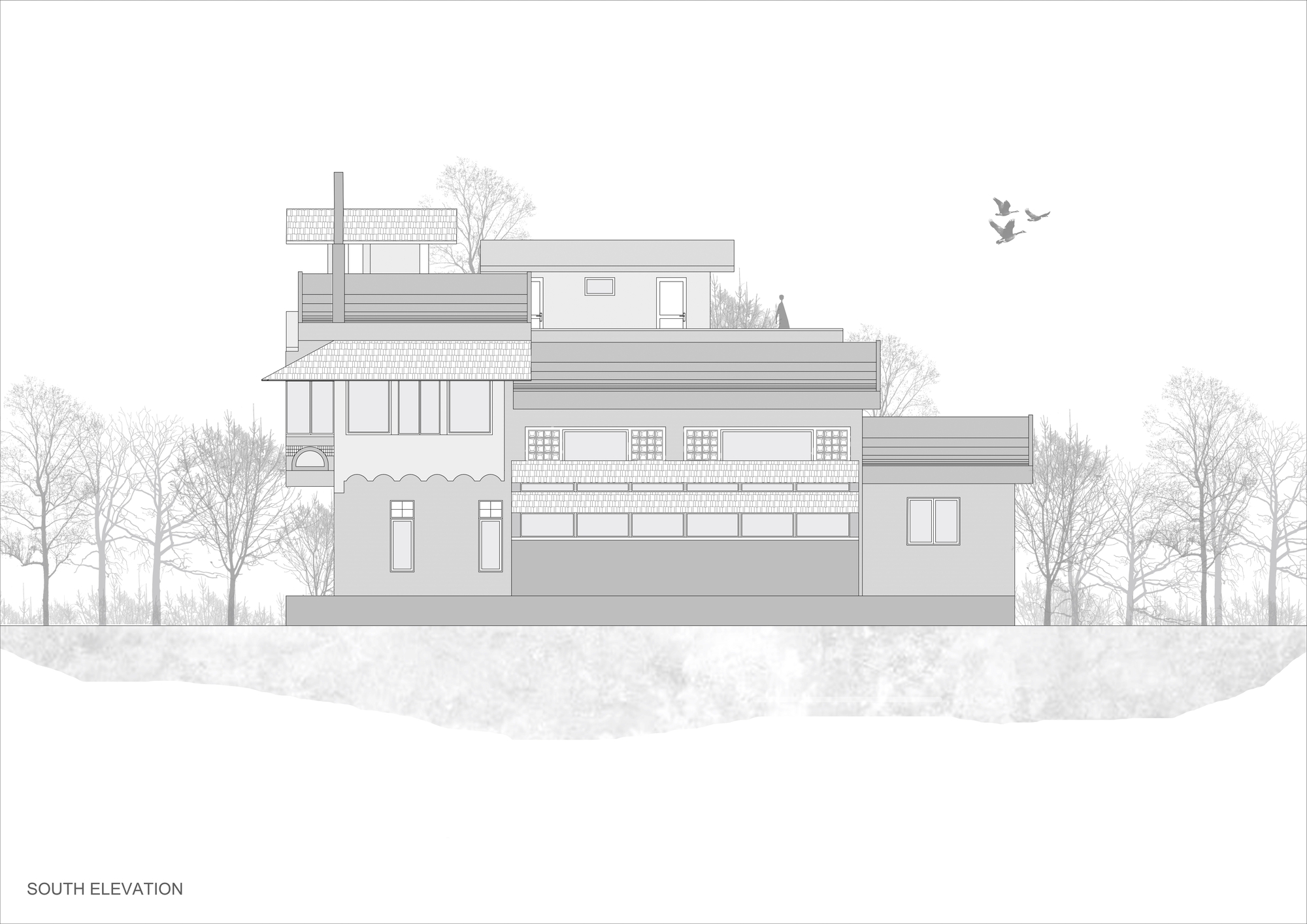 South elevation drawing depicting terraced levels with rooftop garden and birds overhead