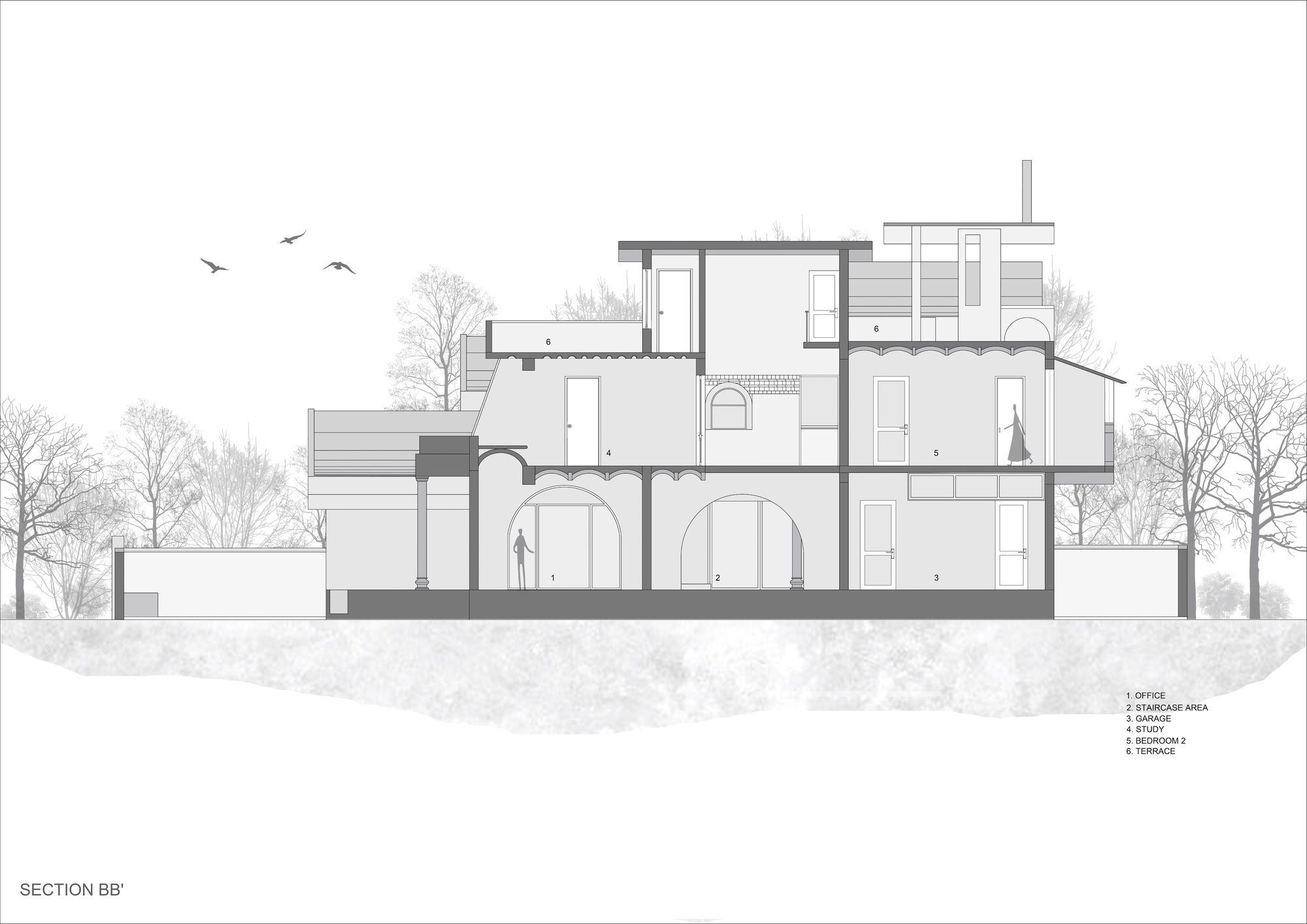 Section drawing showing arched interior spaces and roof terraces with flying birds
