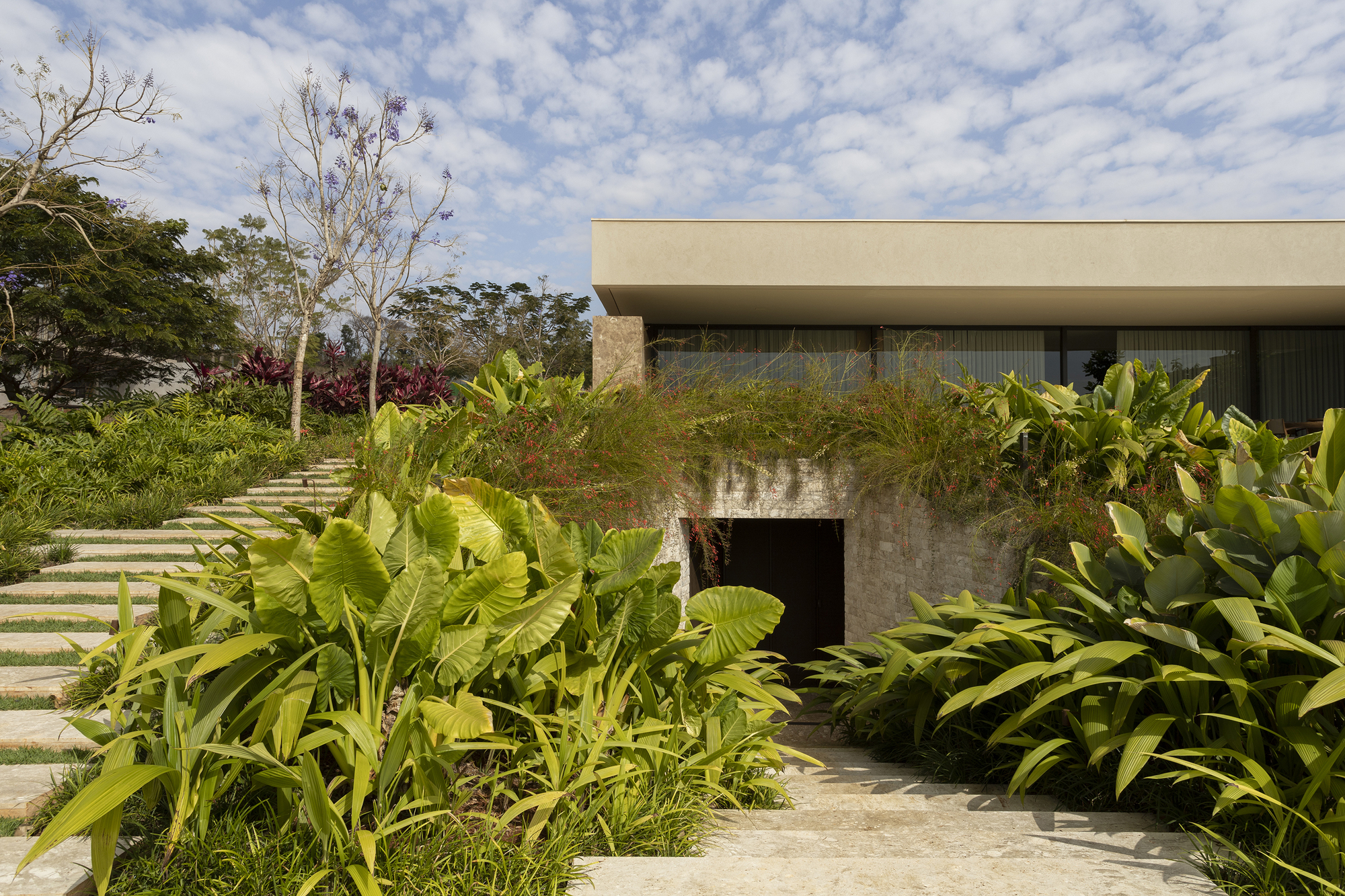 Entry stair descending through planted beds of tropical foliage toward a weathered concrete portal beneath the cantilevered upper level