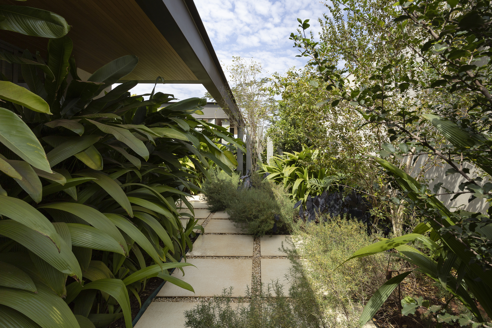 Covered walkway bordered by large-leafed plantings and ornamental grasses beneath an angled soffit and blue sky