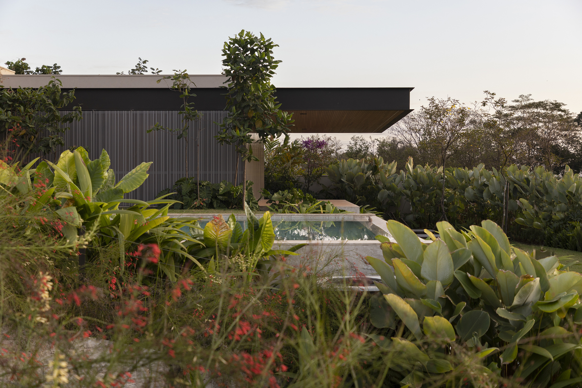 Pool deck surrounded by dense tropical plantings with the cantilevered volume and vertical cladding visible at dusk