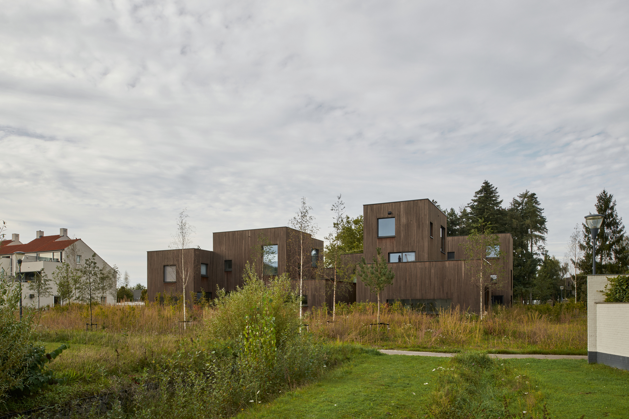 Clustered timber-clad volumes set among wildflower grasses and young birch trees under overcast skies