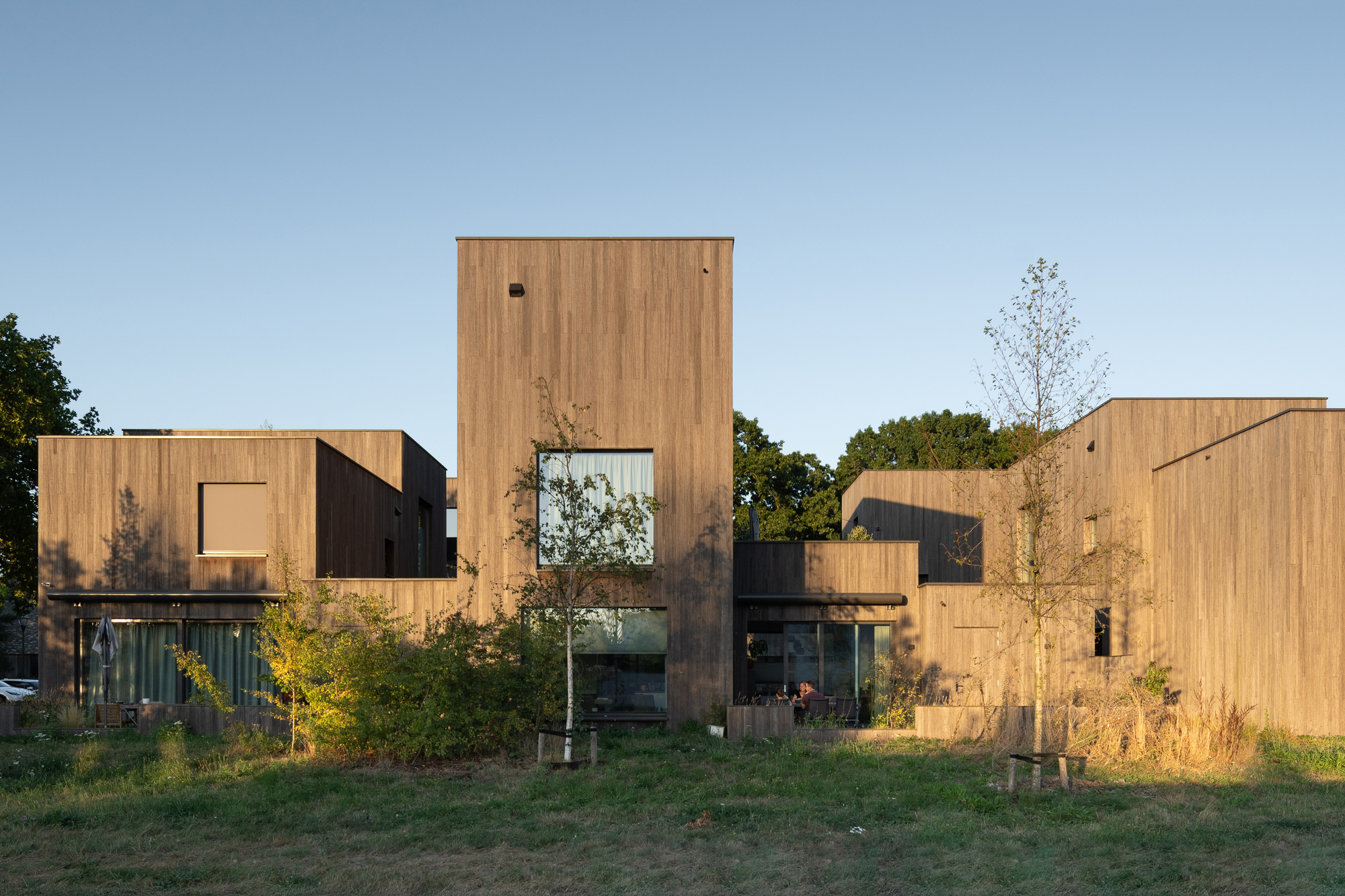 Timber-clad volumes with punched window openings viewed from a meadow at golden hour