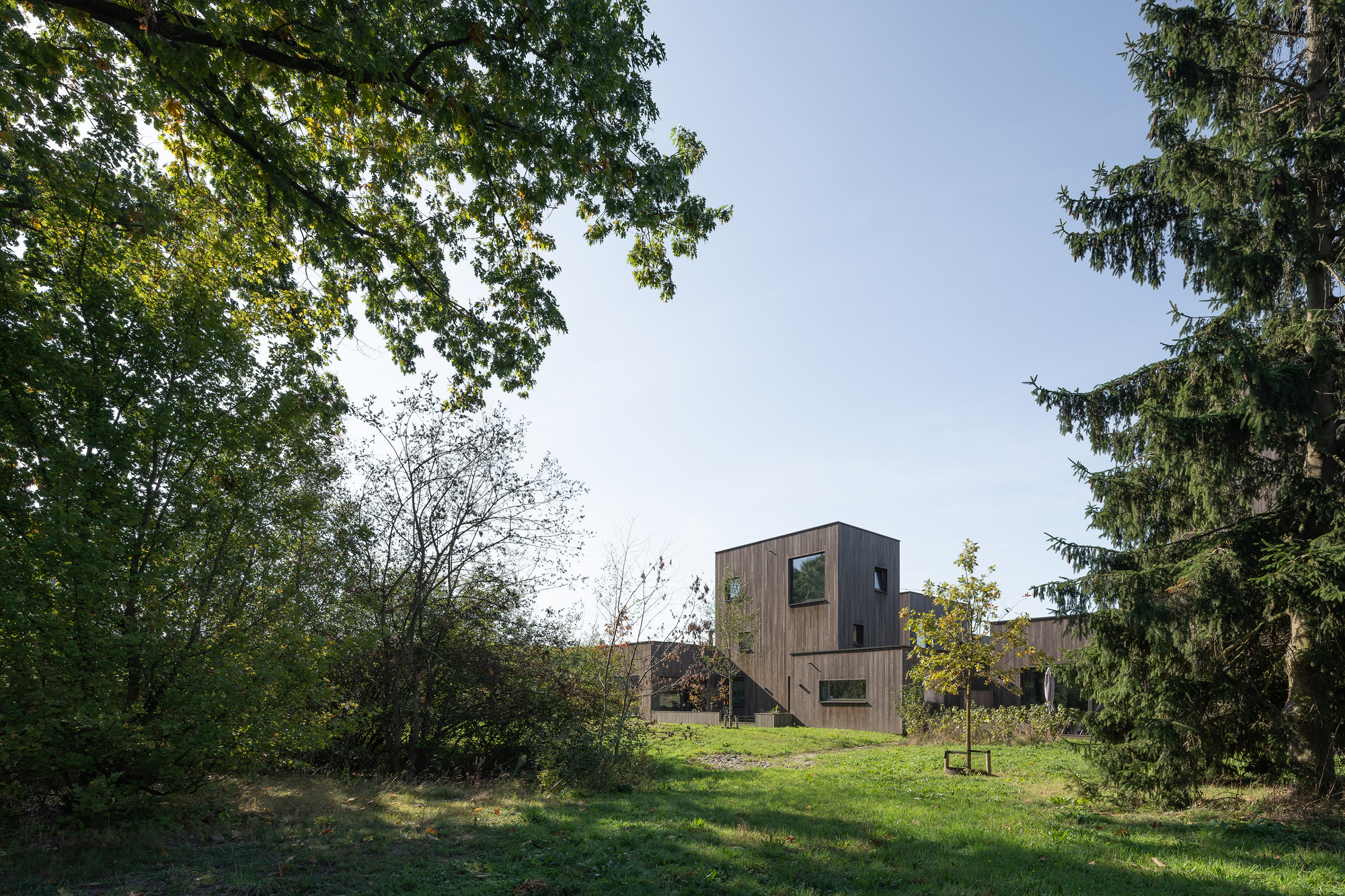 Timber dwelling viewed from a lawn beneath mature deciduous and evergreen tree canopy