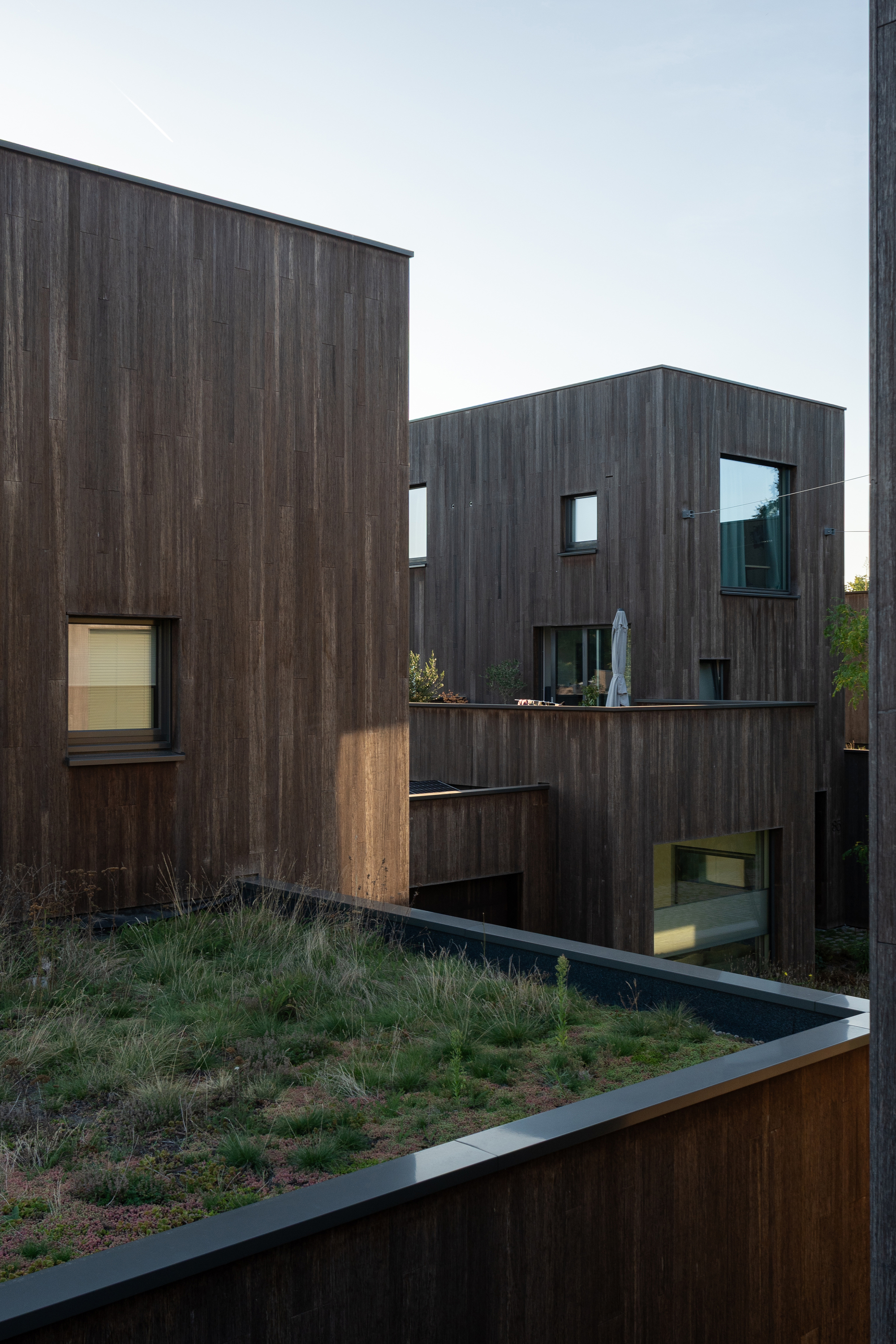 Courtyard view of staggered timber-clad volumes with planted green roof at dusk