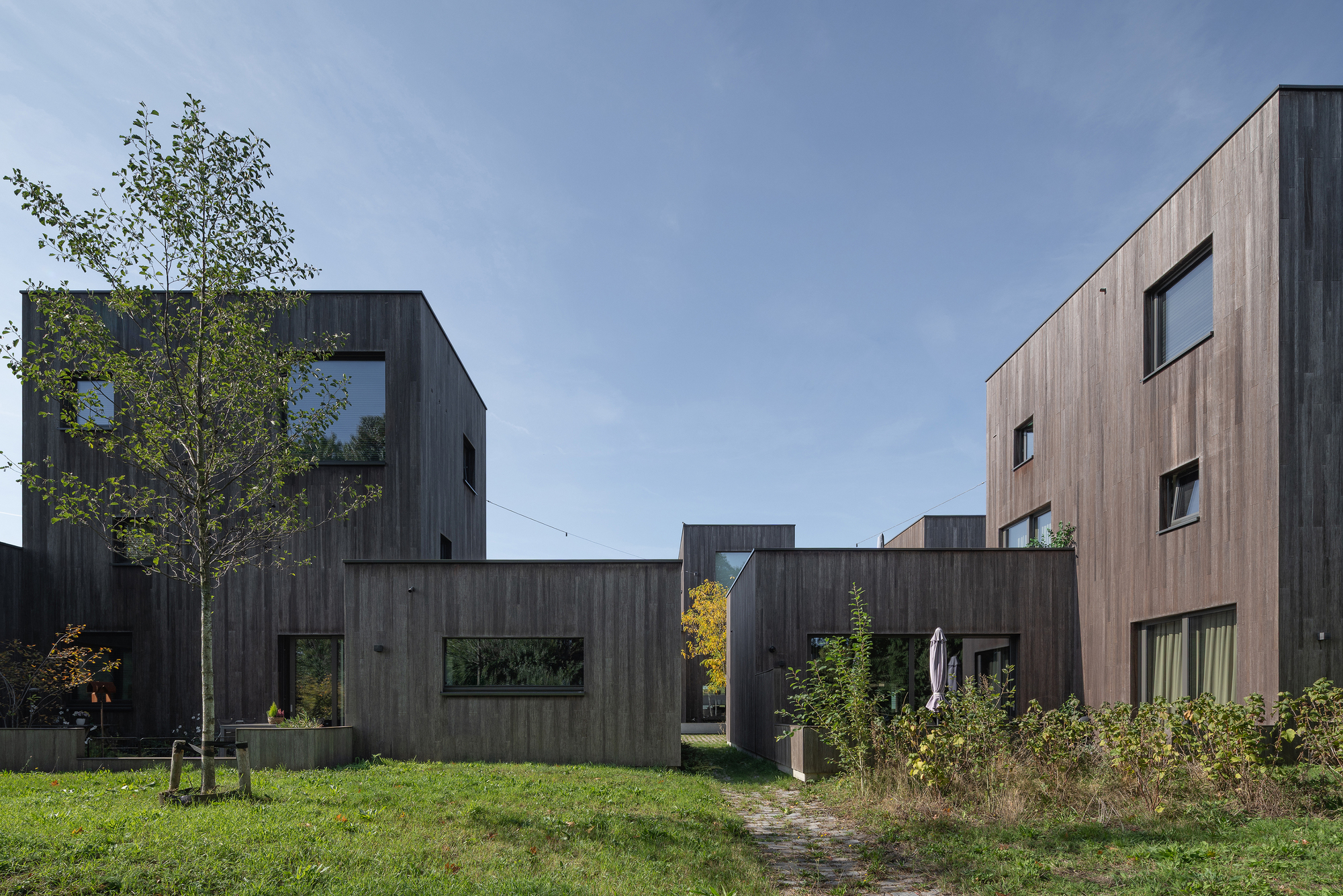 Shared courtyard with mown grass and dirt path between timber-clad housing volumes under a clear sky