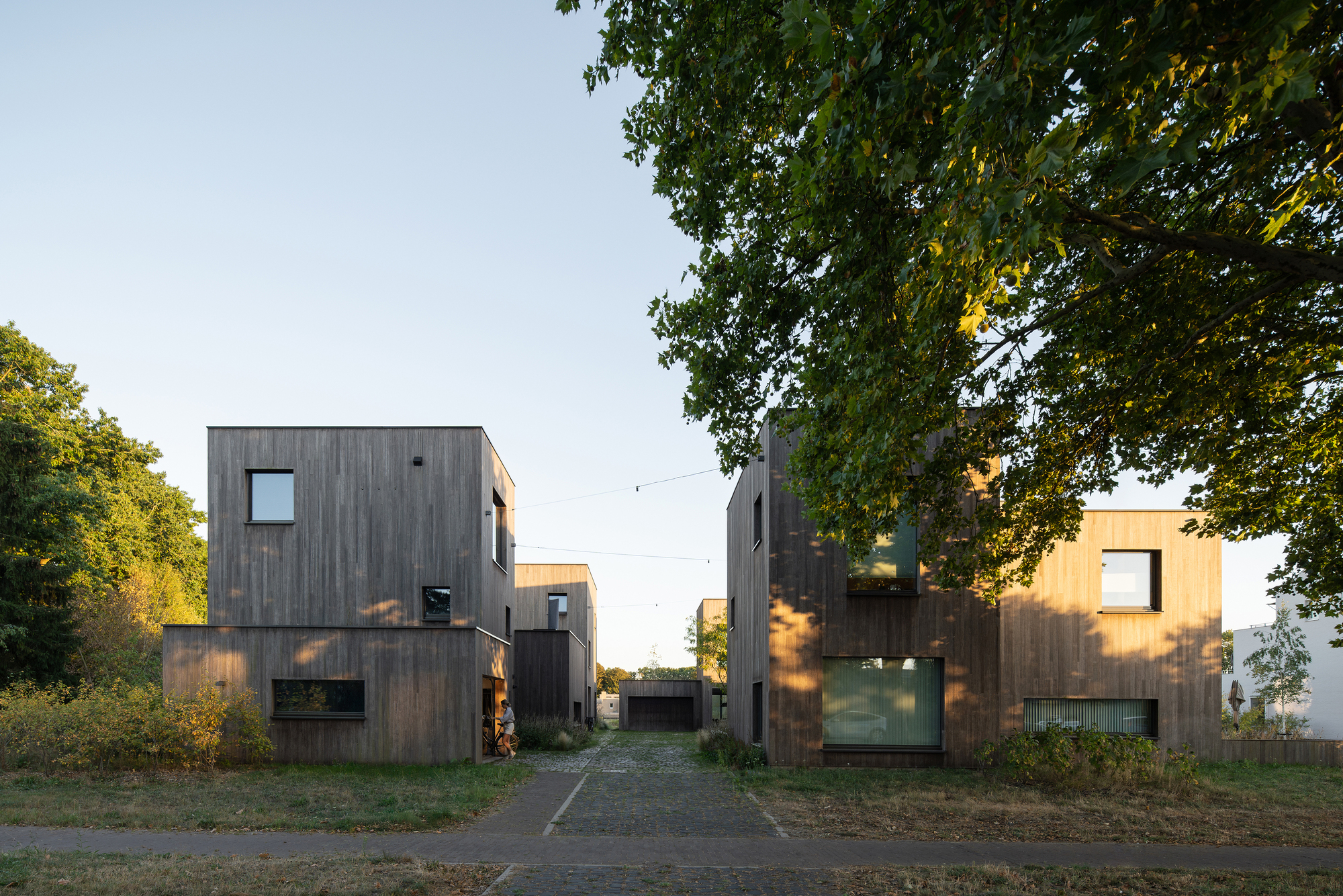 Entry lane between timber-clad volumes in late afternoon light with mature trees casting shadows