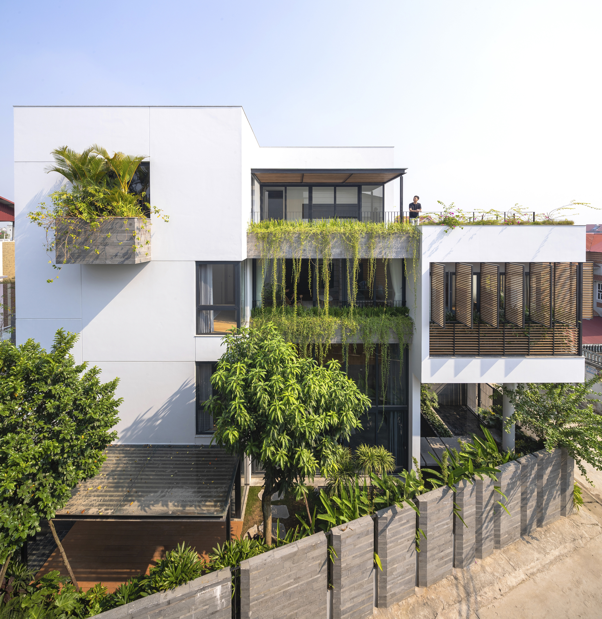 Street view of white stucco volumes with cascading planted terraces and vertical greenery under afternoon sunlight