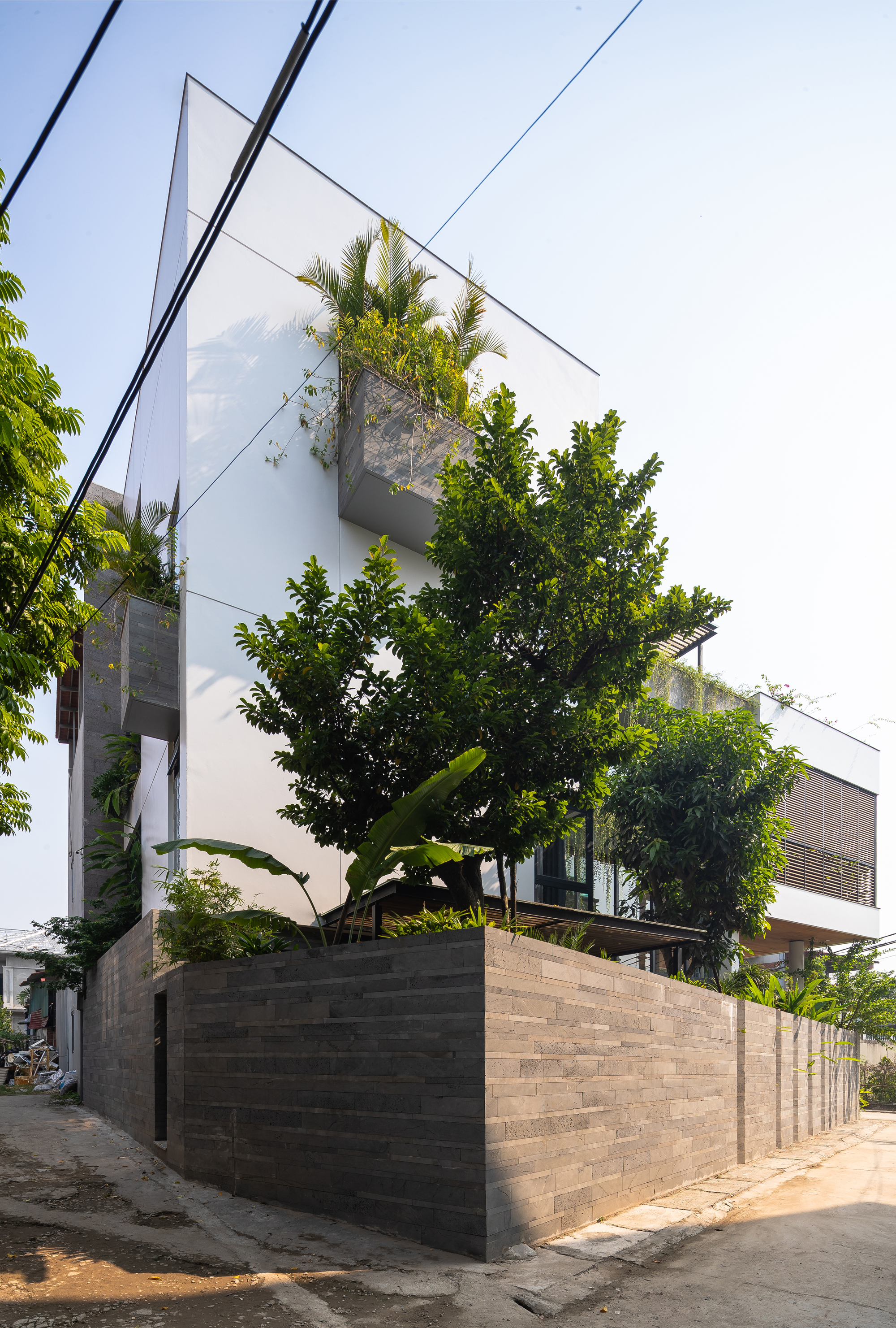 Corner street view showing the raised planter box with mature trees emerging above horizontal timber cladding