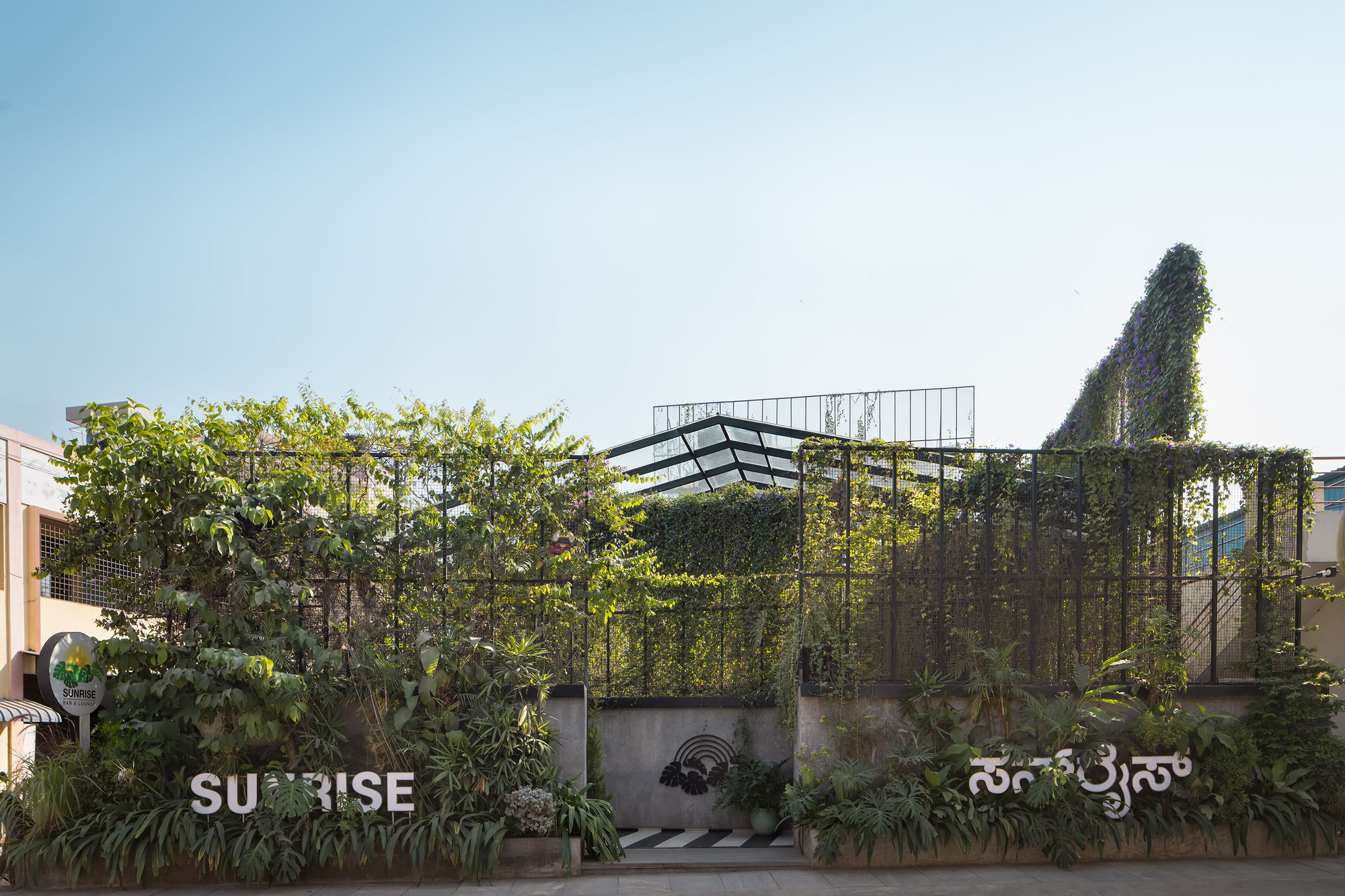 Street facade with concrete base wall, layered steel mesh trellis overhead, and dense climbing vegetation
