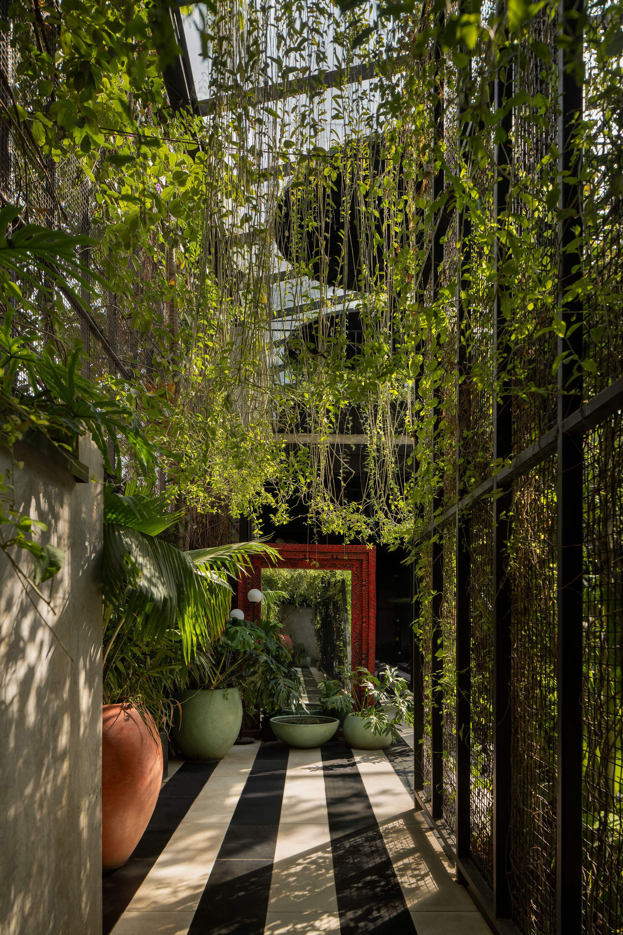 Garden passage with striped stone paving and ceramic planters beneath trailing greenery and dappled sunlight