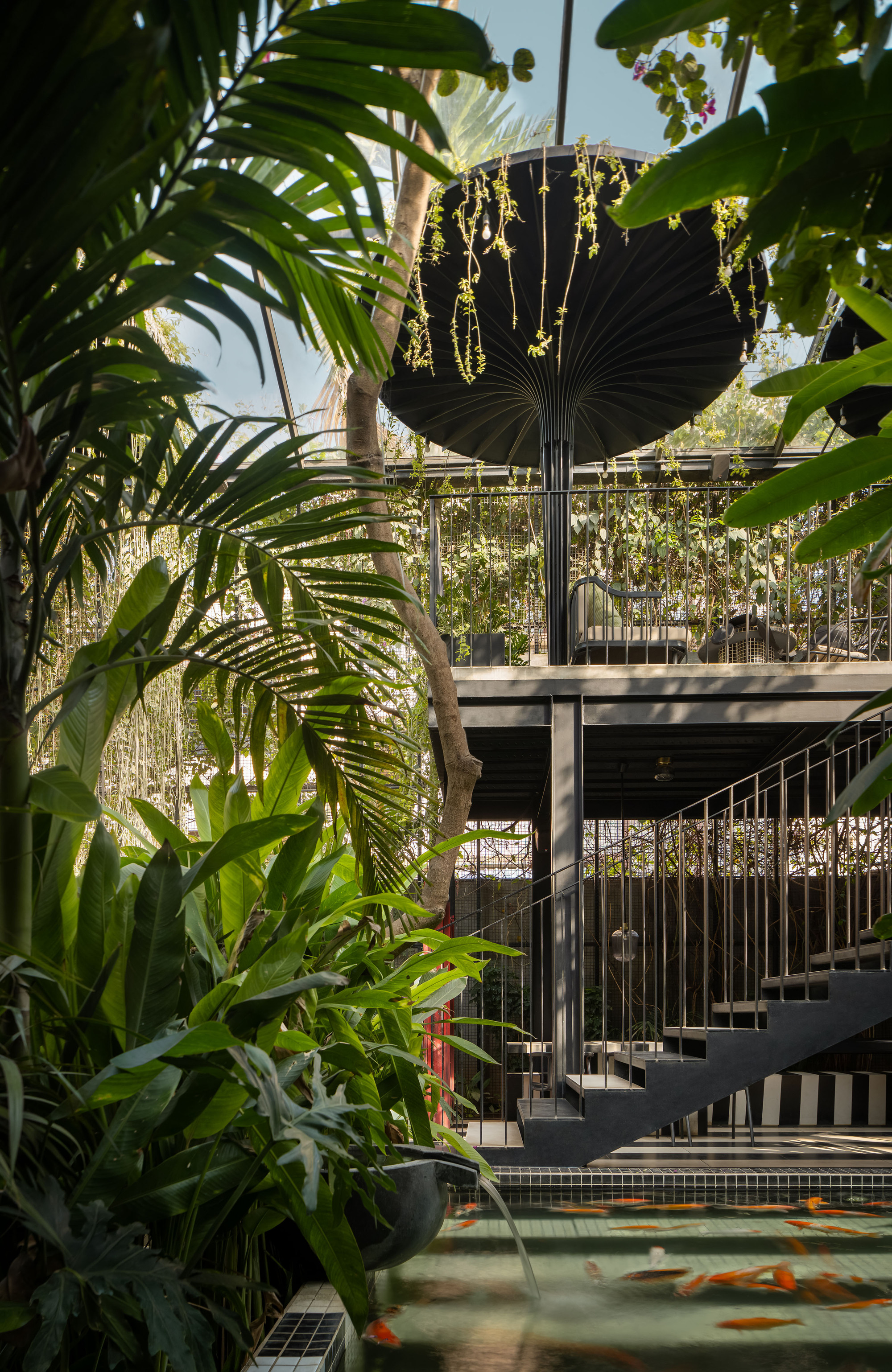 Black steel staircase and fan-shaped canopy surrounded by tropical palms and climbing vegetation
