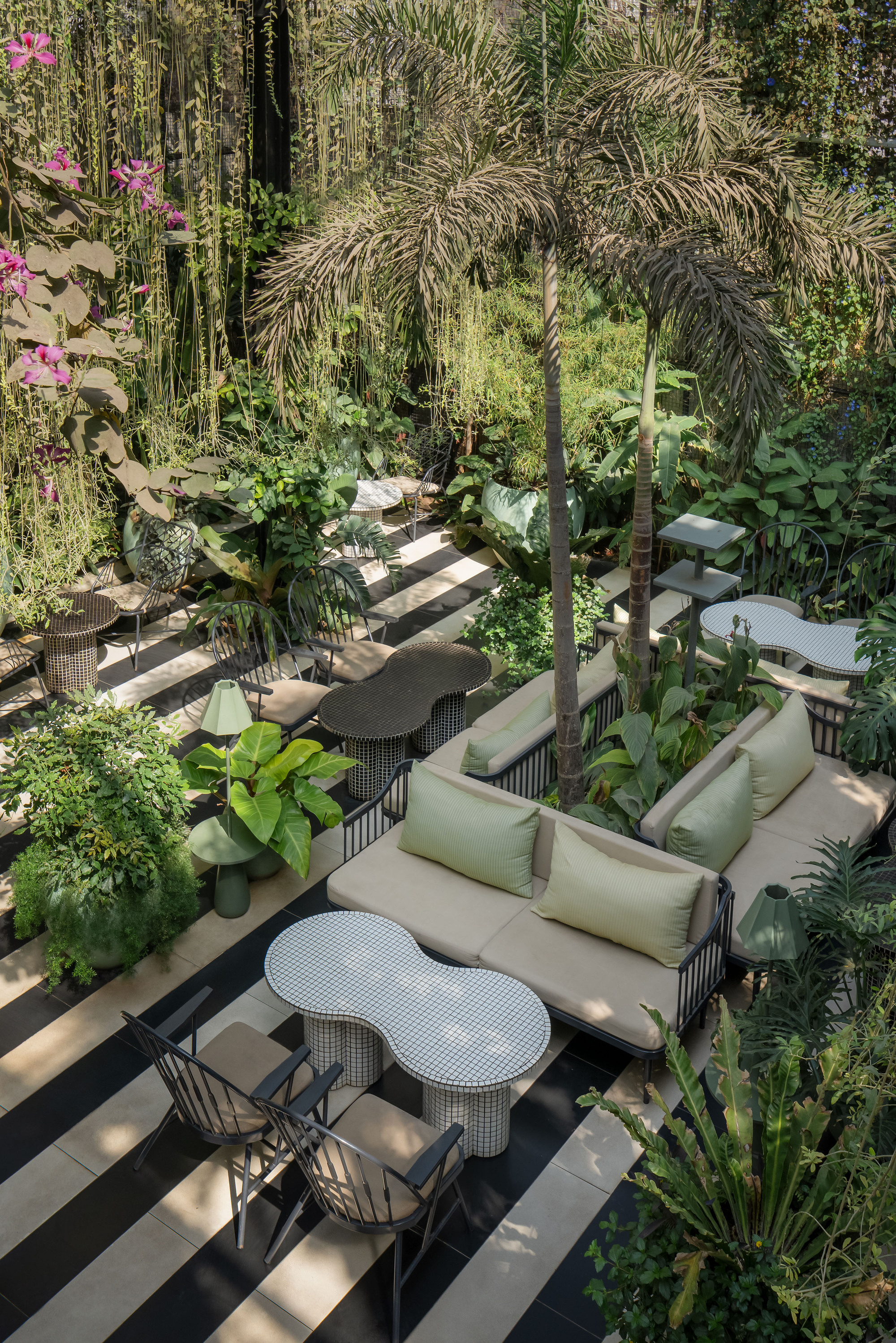 Overhead view of outdoor terrace with striped paving, wicker seating and dense tropical planting including palms and ferns