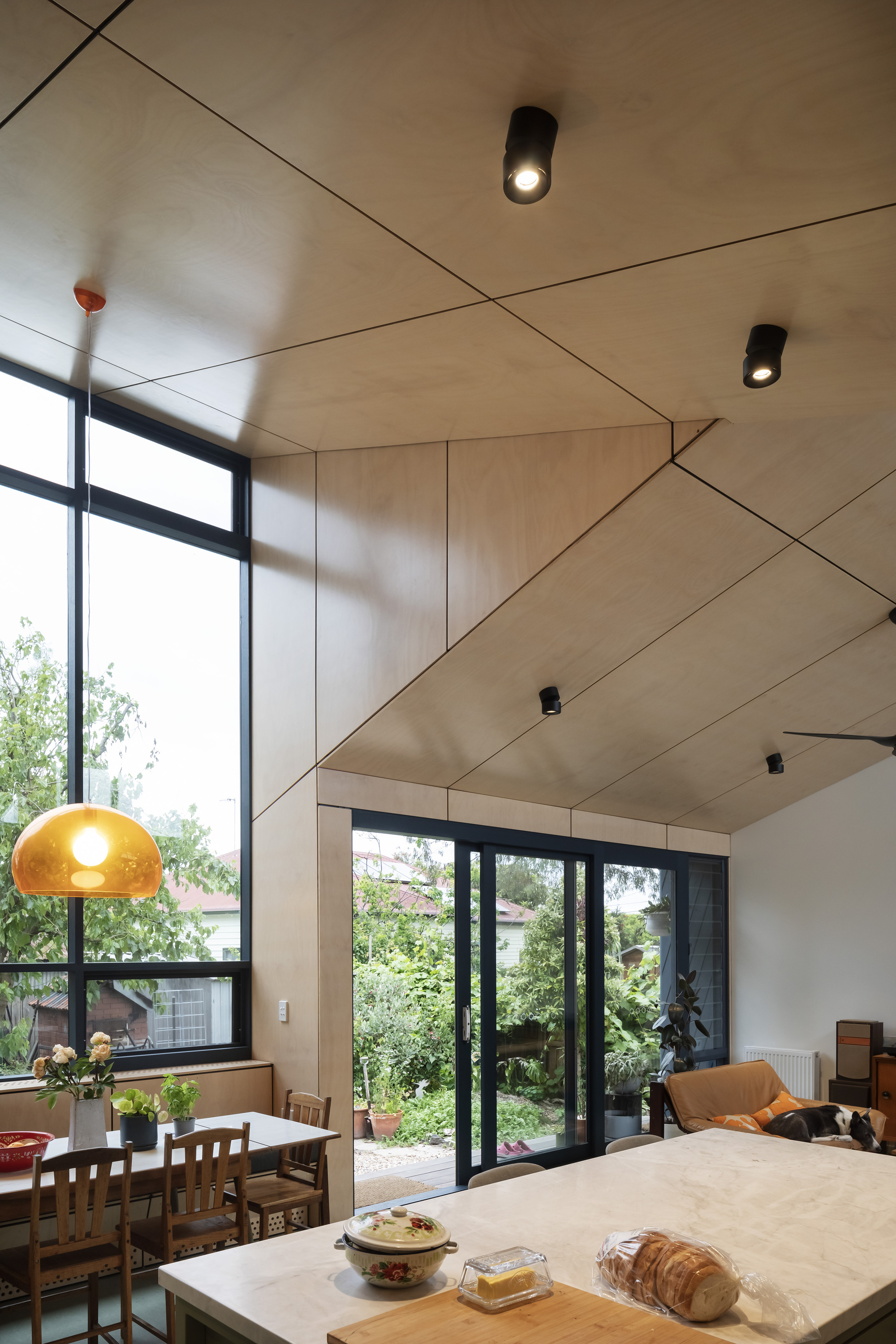 Interior view of angled plywood ceiling with black downlights and kitchen island in afternoon light