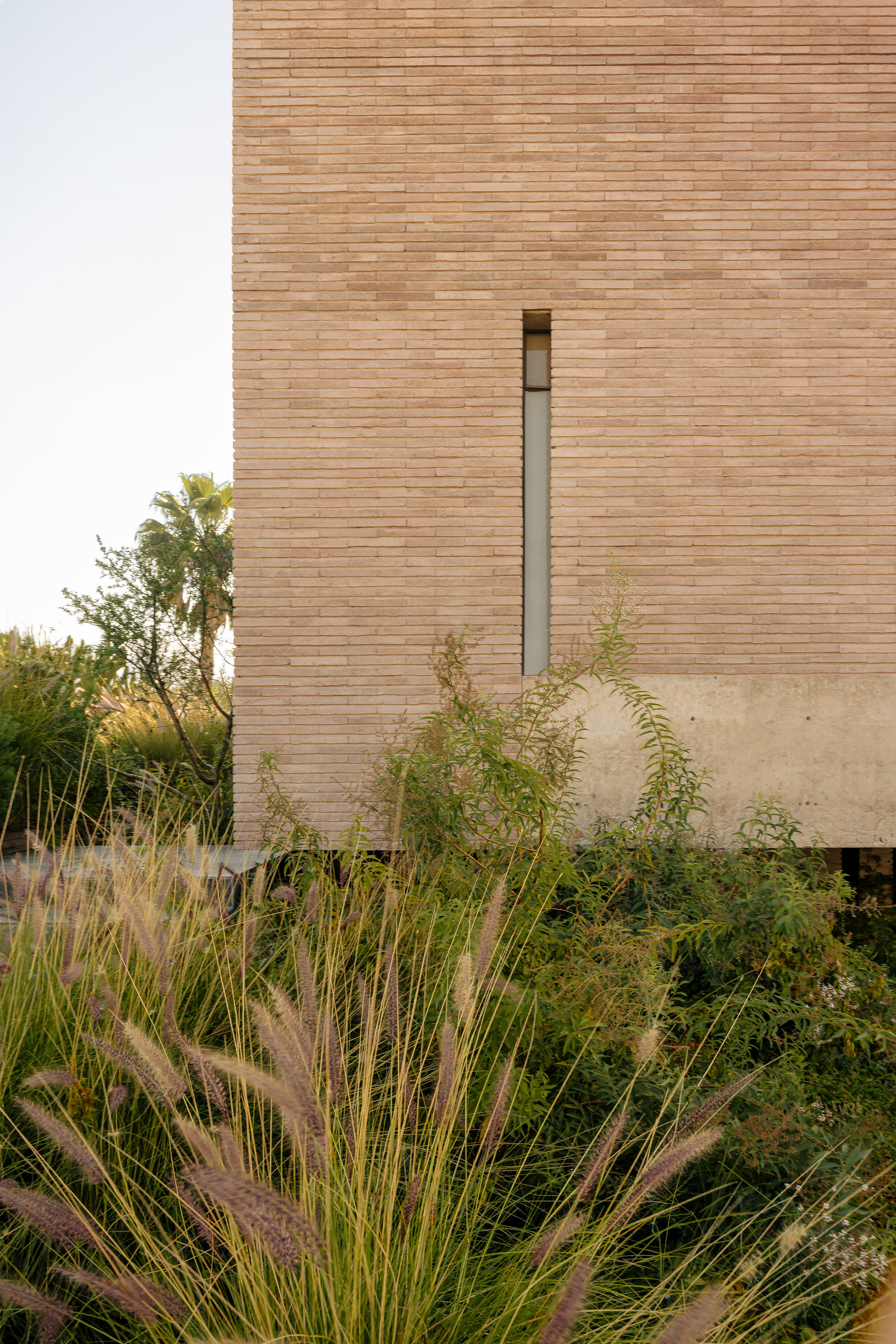 Brick facade with vertical slot window above concrete base surrounded by ornamental grasses and vegetation