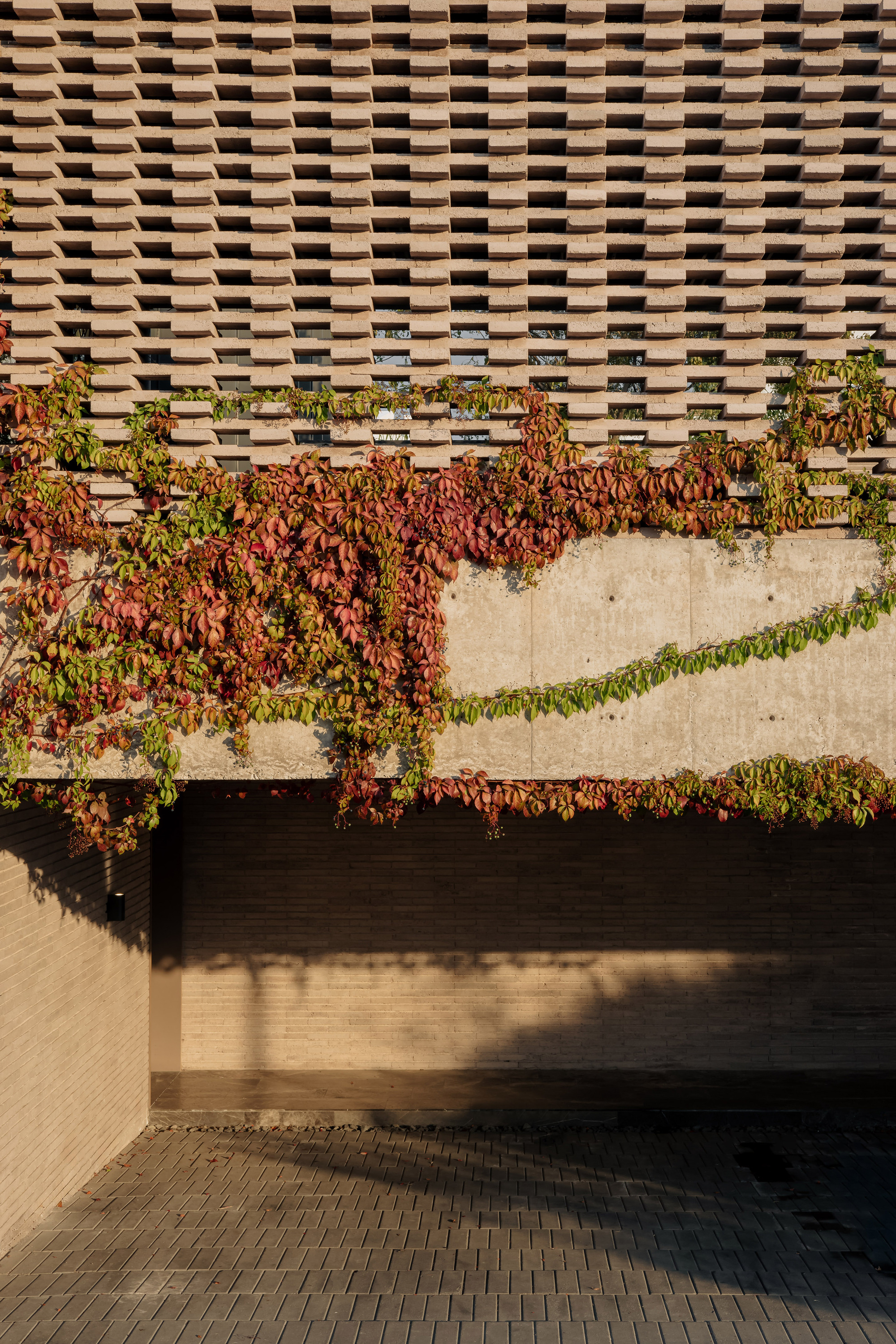 Checkered timber screen above concrete base with autumn-colored climbing vines and carved shadow patterns