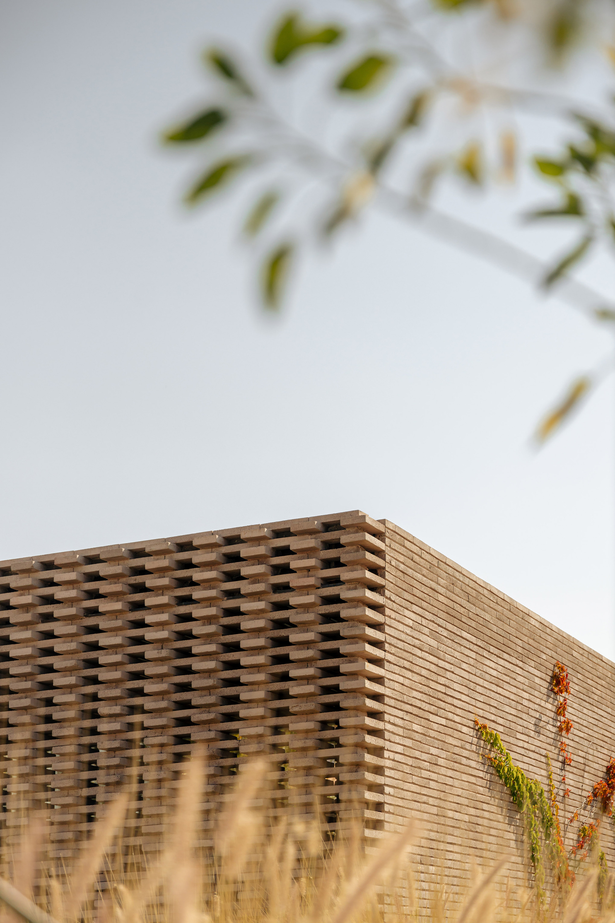Corner of timber slat screen volumes framed by dried grasses in foreground