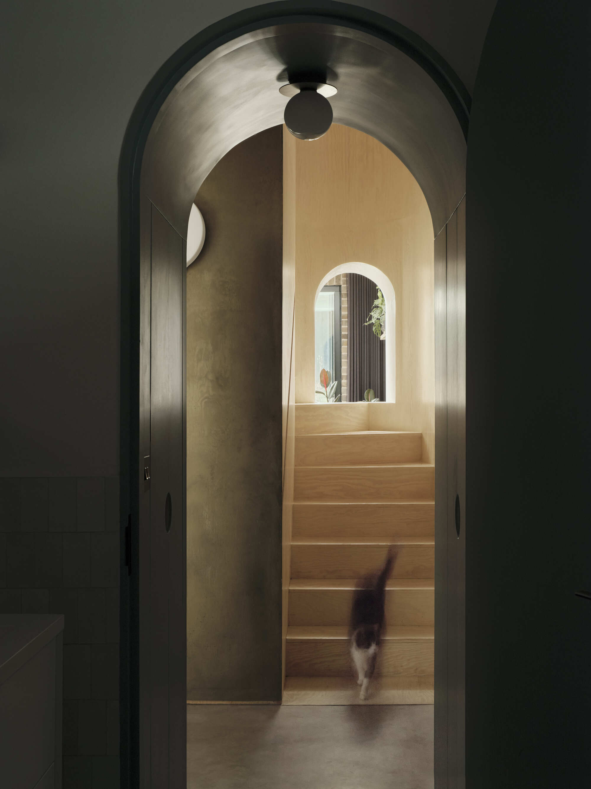 Arched doorway framing a view through to timber stairs with a cat descending under pendant light