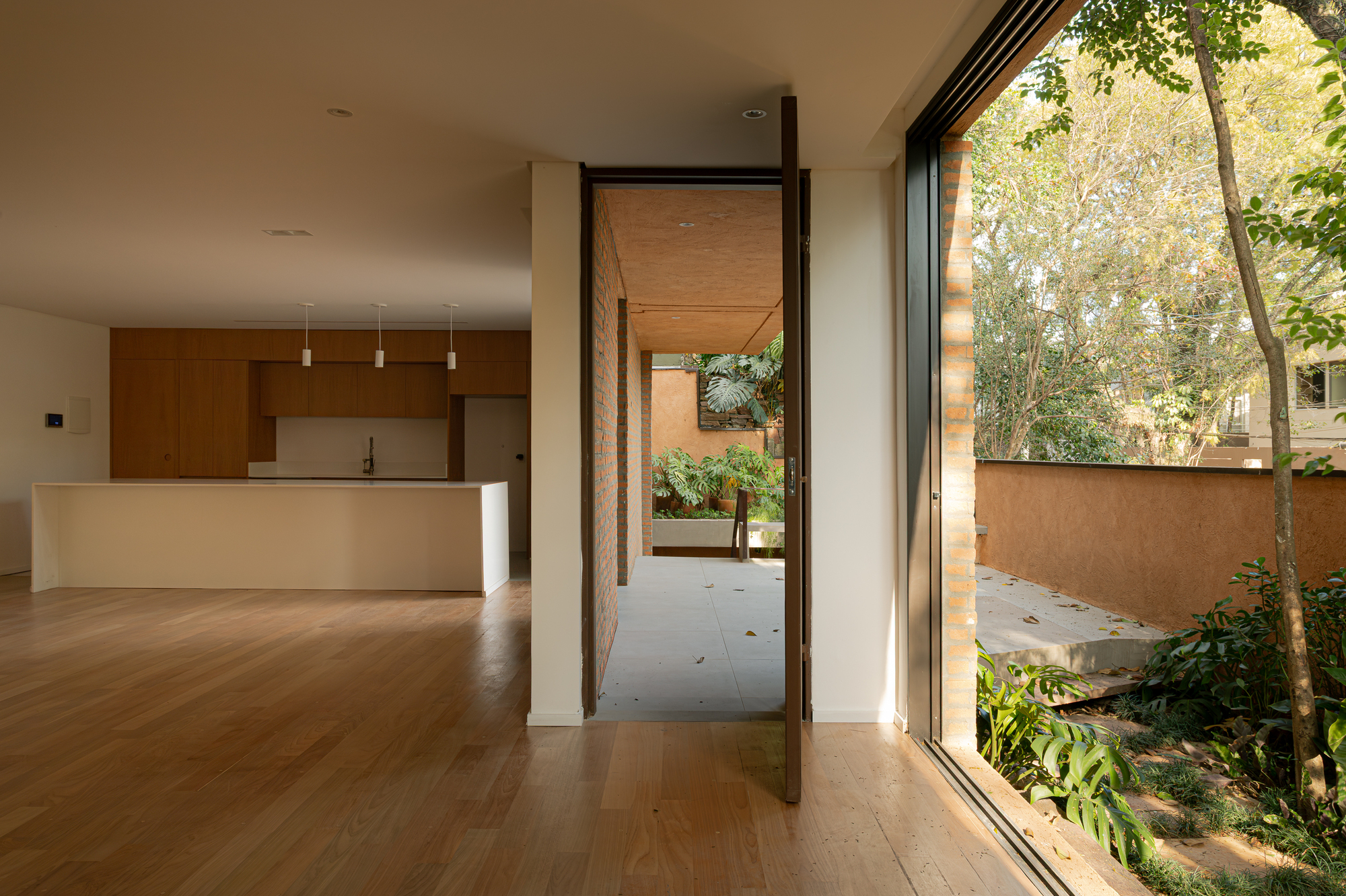 Open kitchen and living space with pivoting timber door leading to a planted courtyard