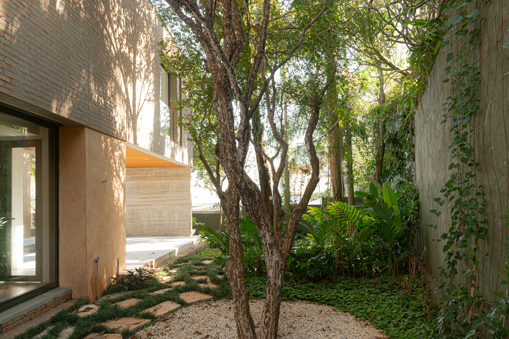 Courtyard garden with multi-trunk tree among stone pavers and low planting between brick volumes