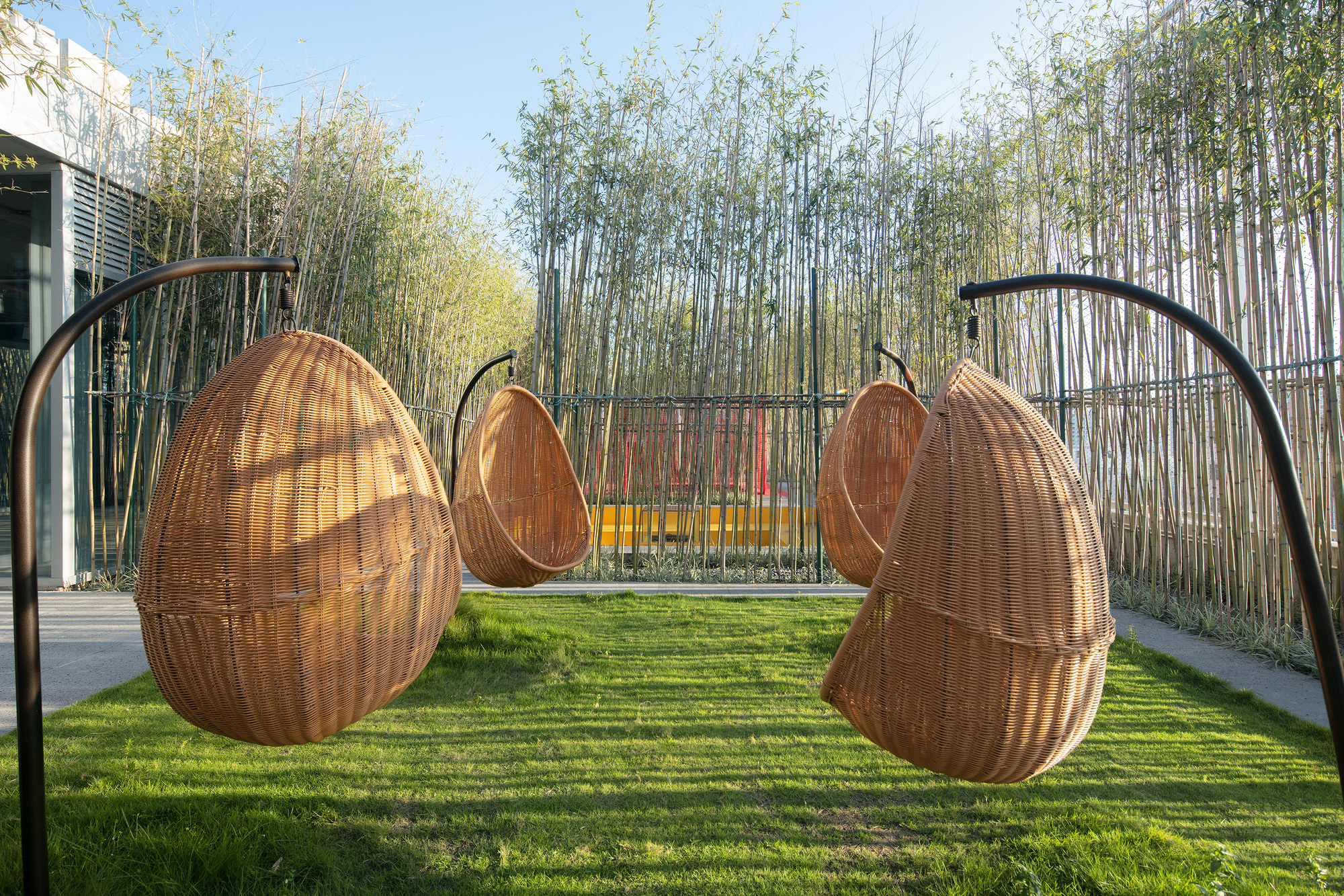 Woven rattan hanging egg chairs suspended from metal arcs over grass with bamboo fence beyond