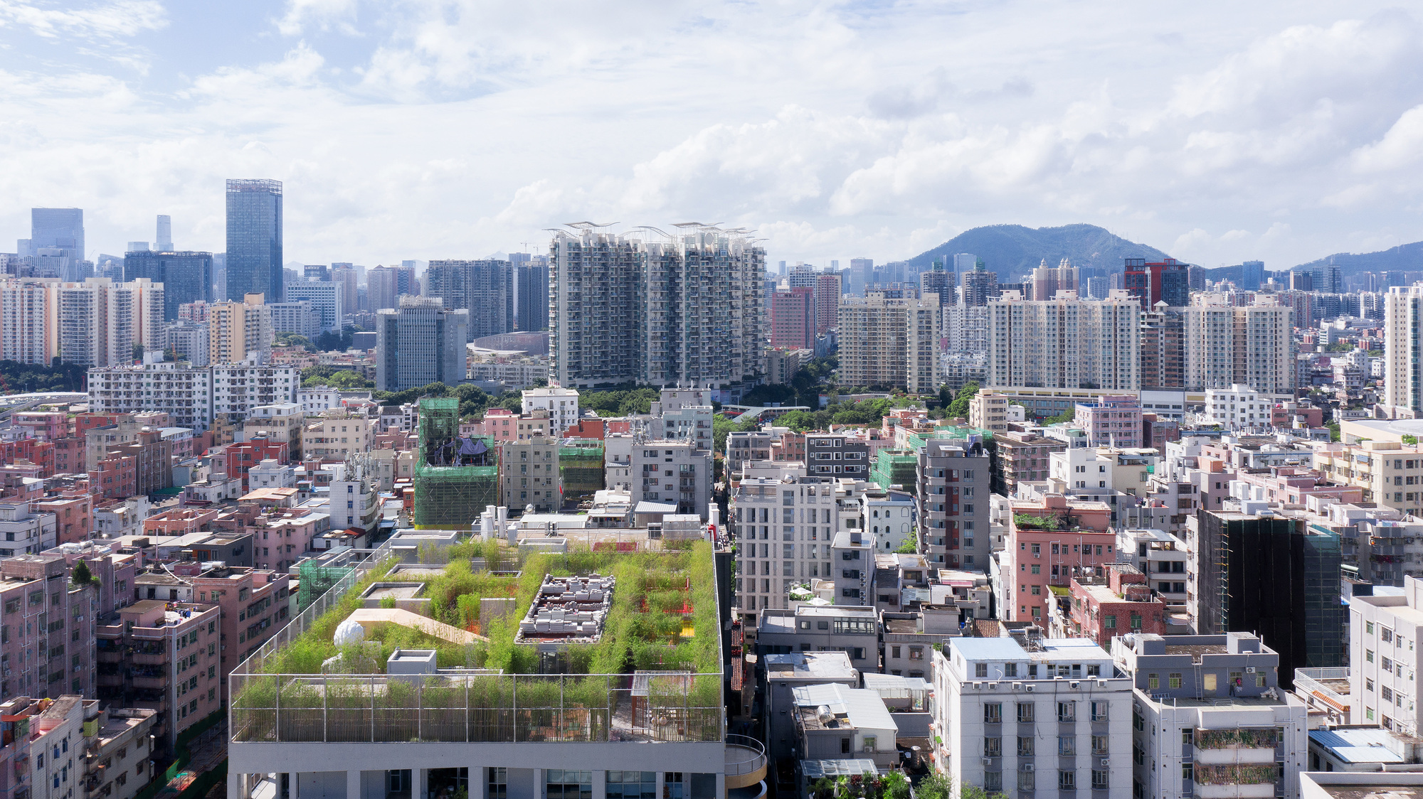 Elevated view of the planted green roof terrace surrounded by low-rise residential buildings and distant mountains