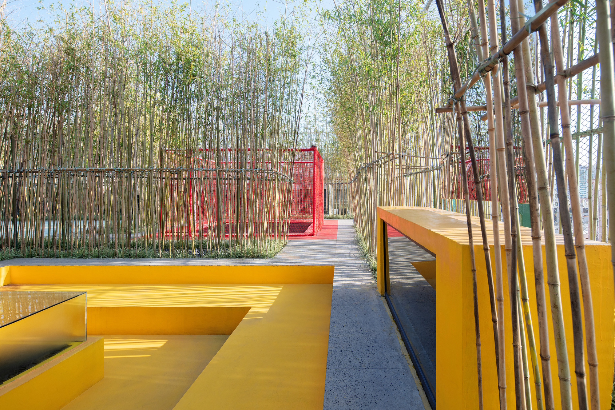Yellow seating terrace with timber benches within a bamboo forest screening along a boardwalk path