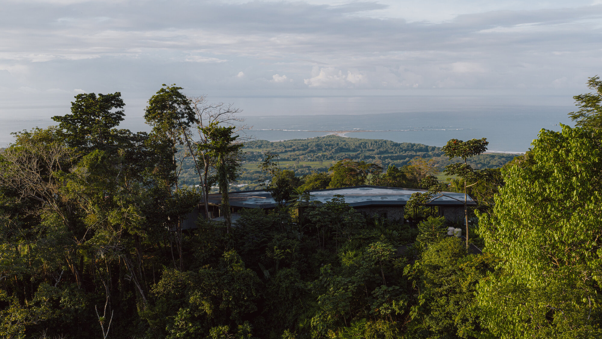Long view of the low roof emerging from dense tree canopy with ocean horizon beyond