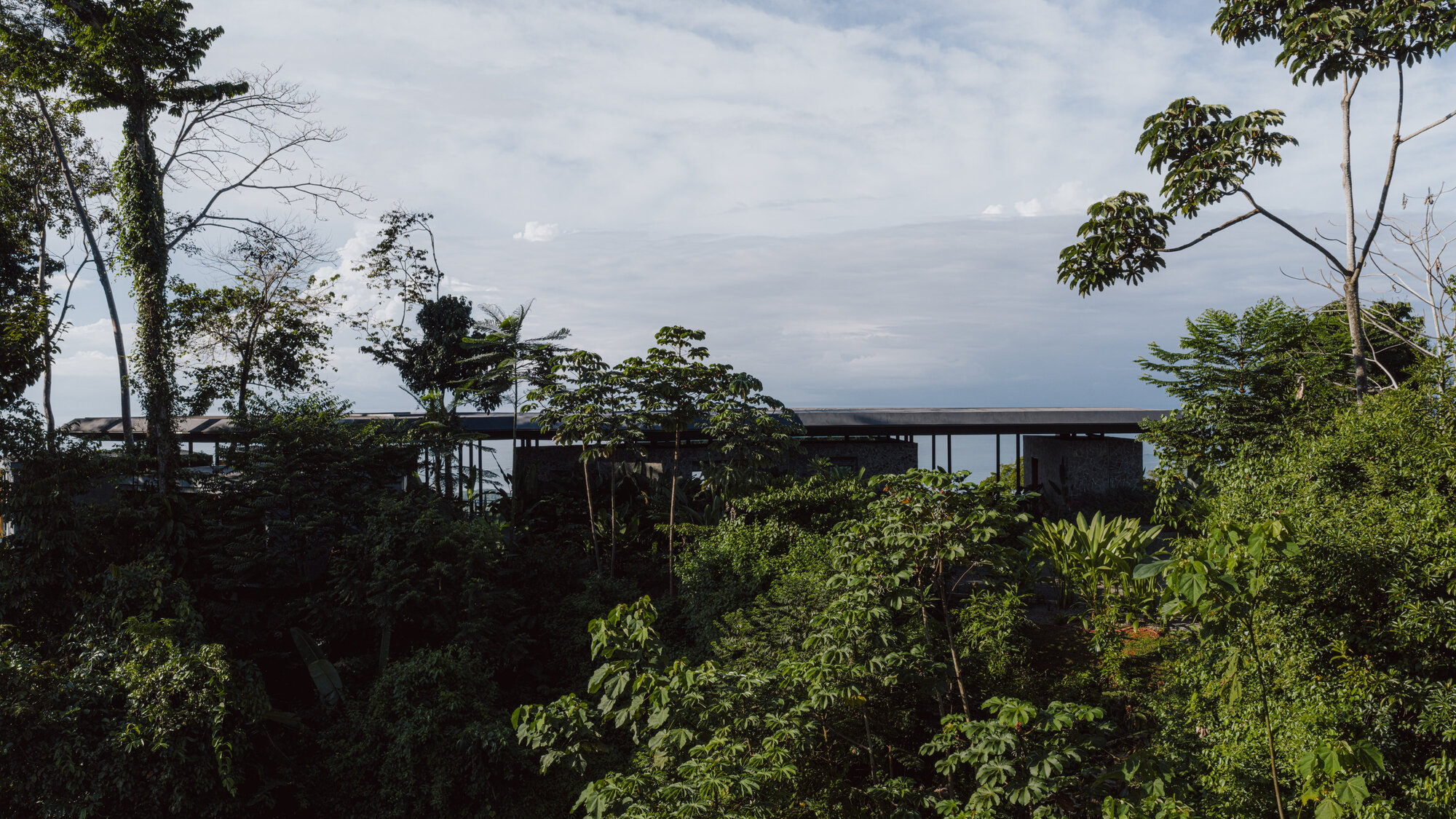 Elevated horizontal volume with flat roof visible above dense tropical canopy and ocean horizon